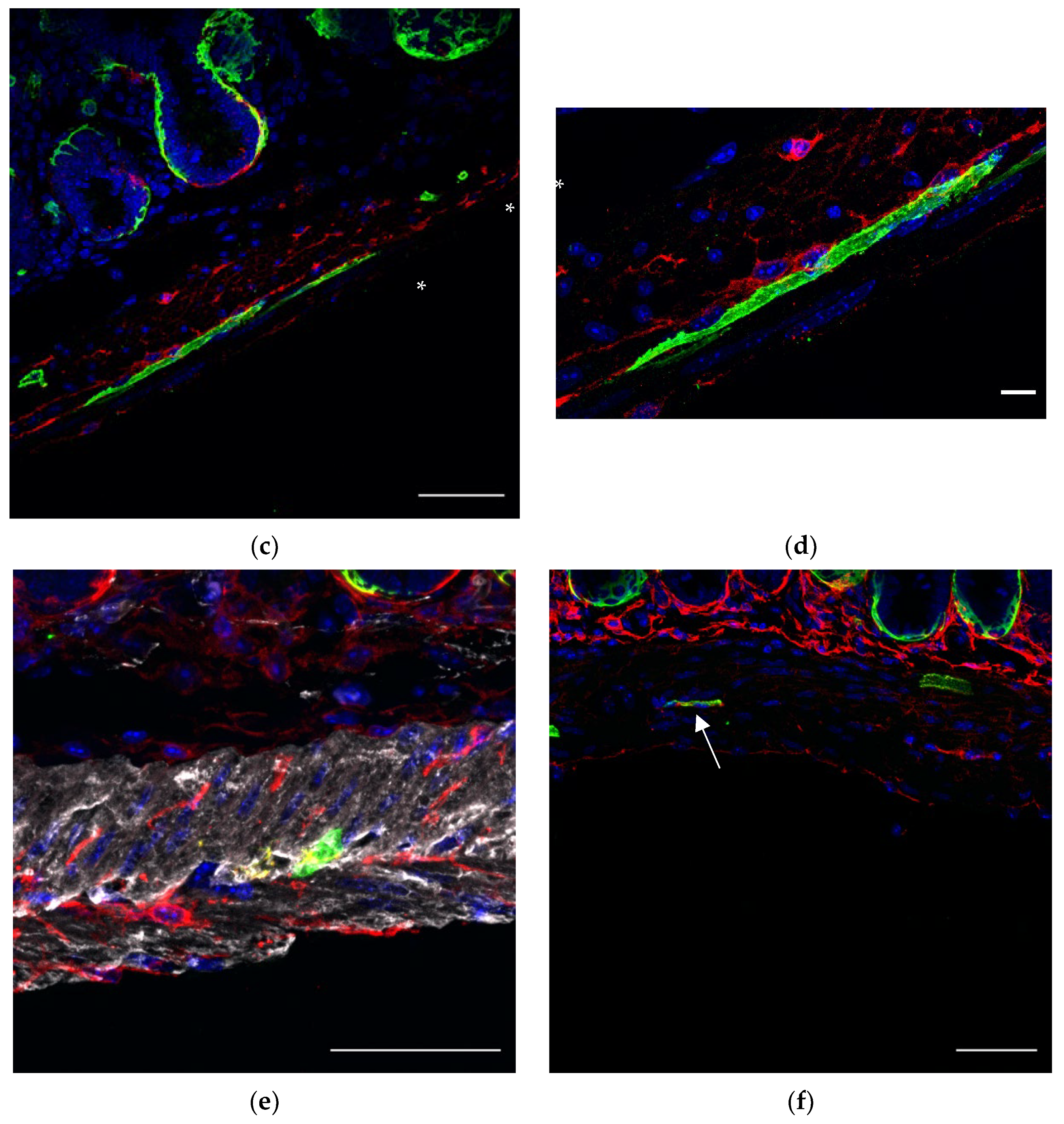 Life 12 00176 g003b 550