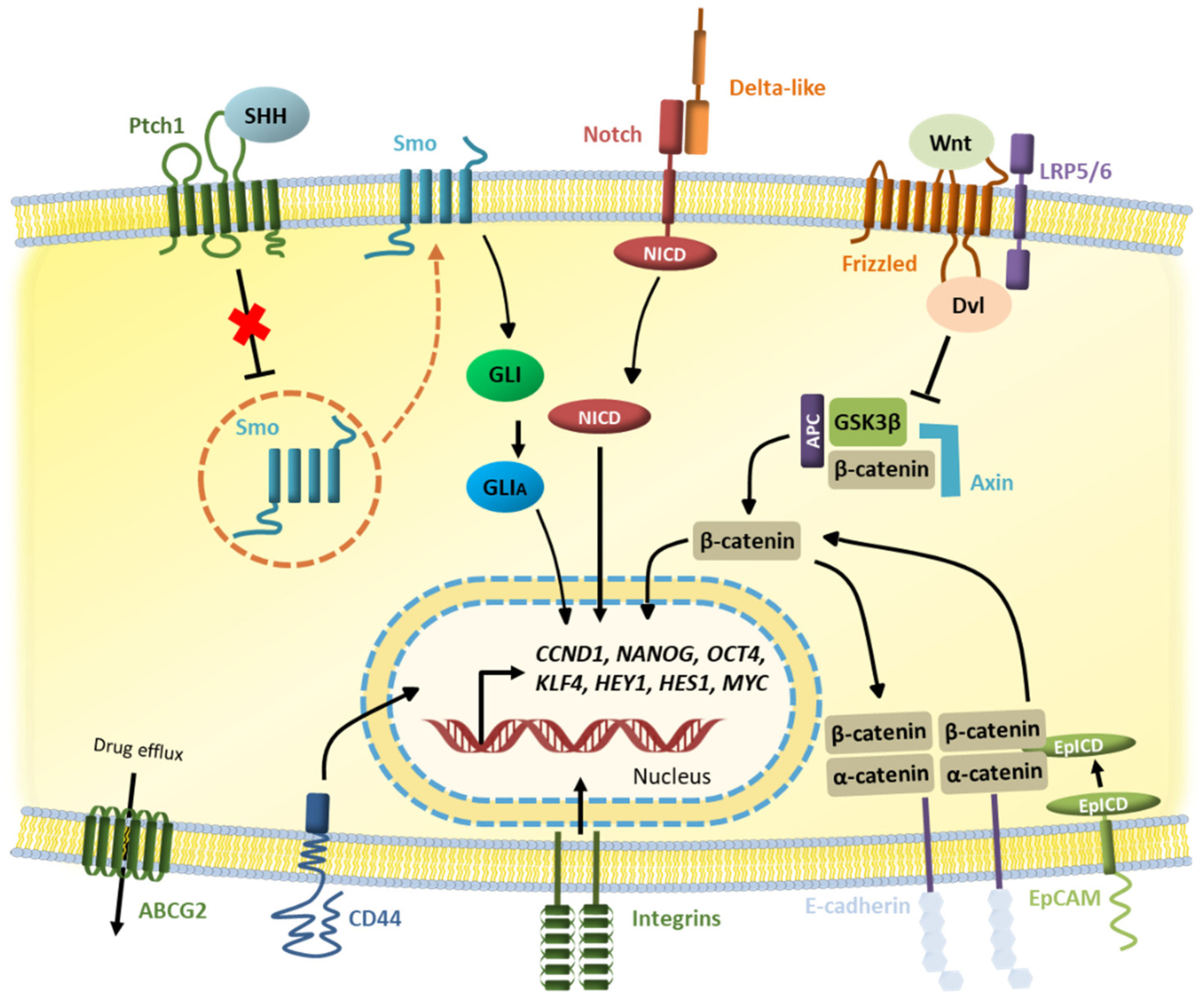 Life 12 00184 g002 Life 12 00184 g002