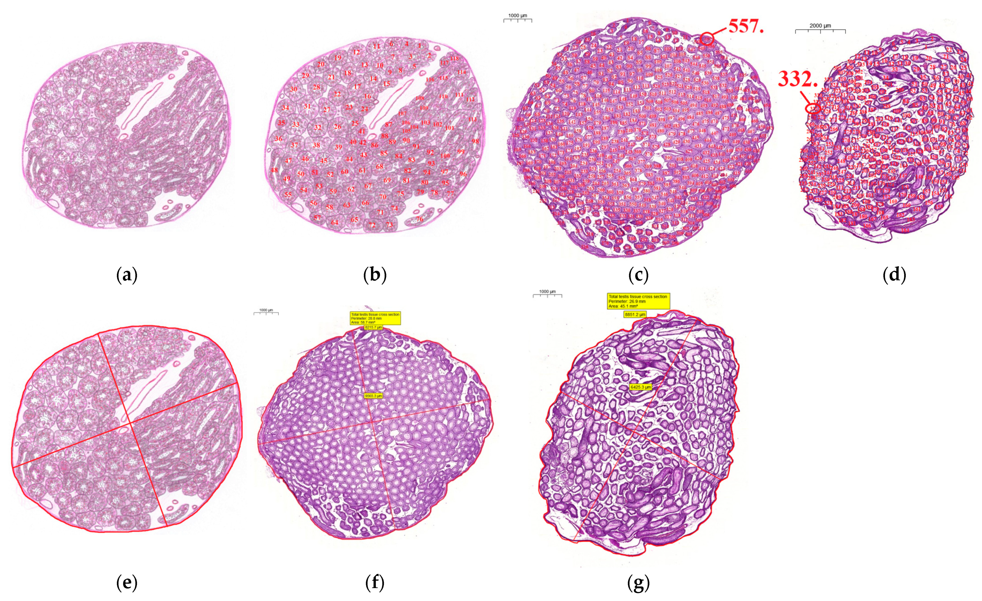 Life 12 00189 g003 Life 12 00189 g003