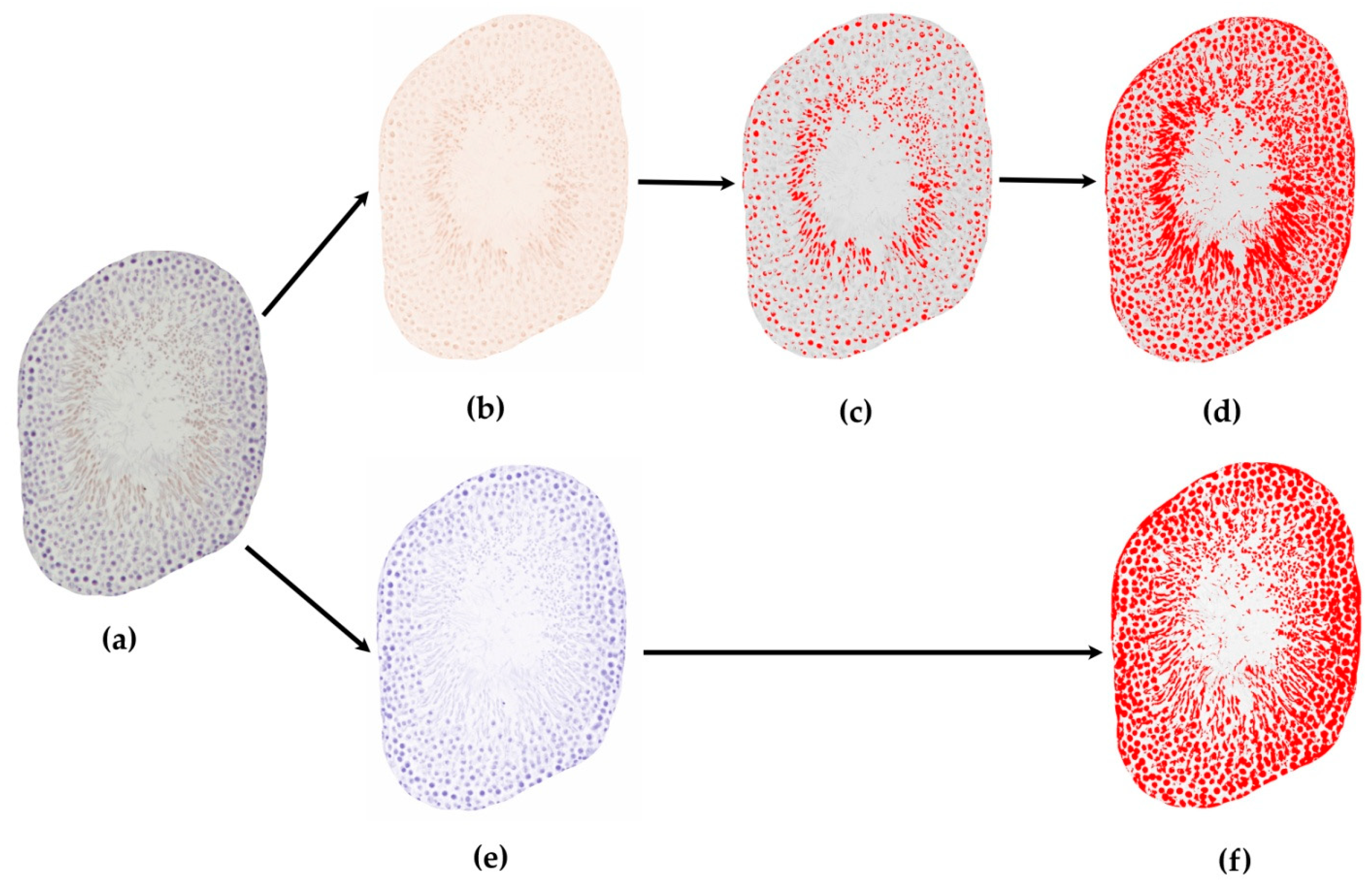 Life 12 00189 g006 Life 12 00189 g006