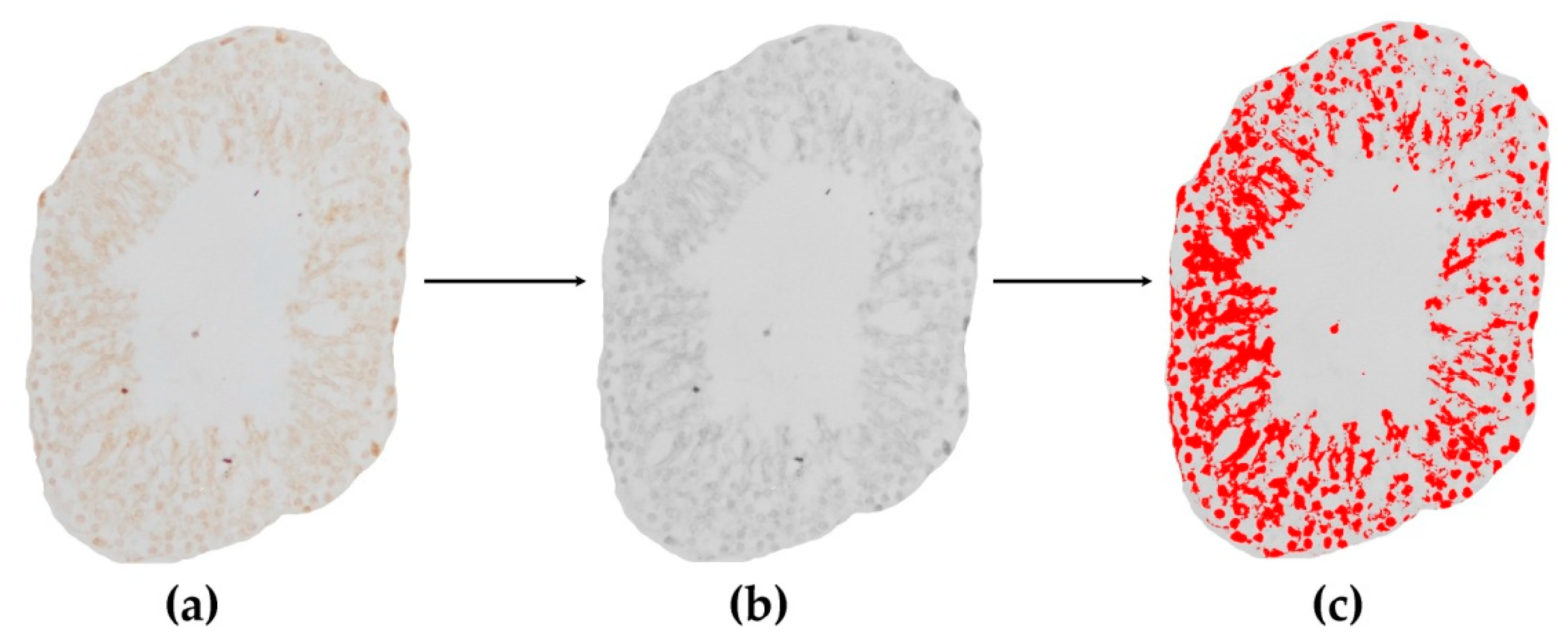 Life 12 00189 g007 Life 12 00189 g007