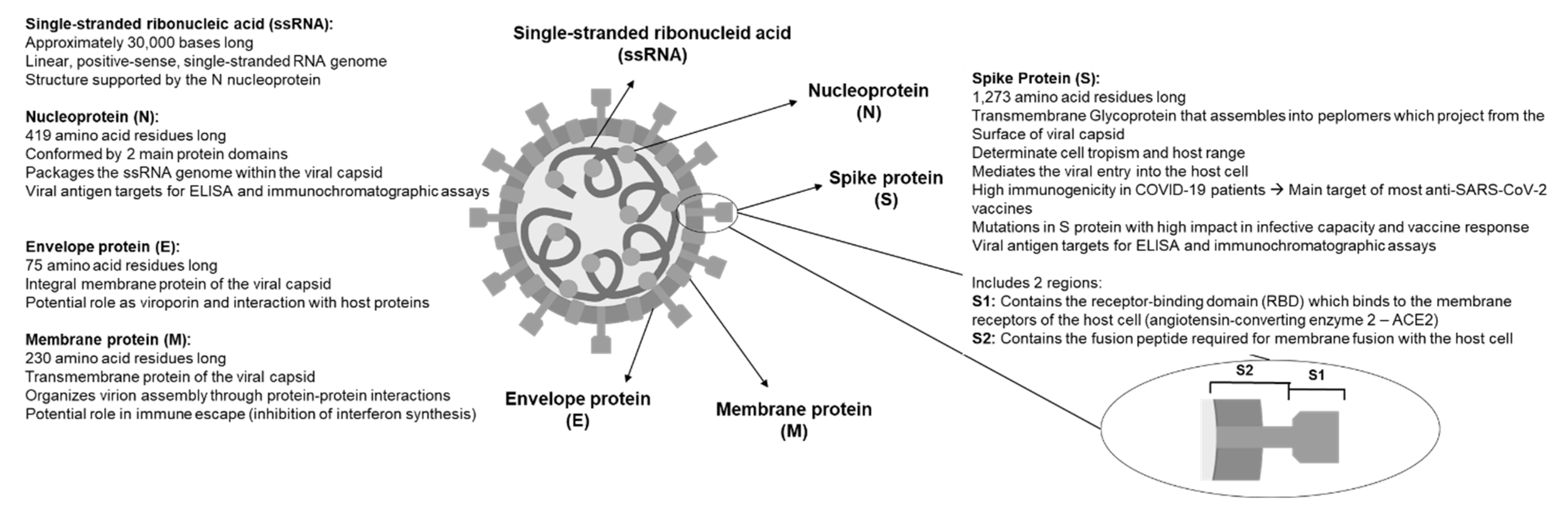 SARS-CoV-2 incidence, transmission, and reinfection in a rural and