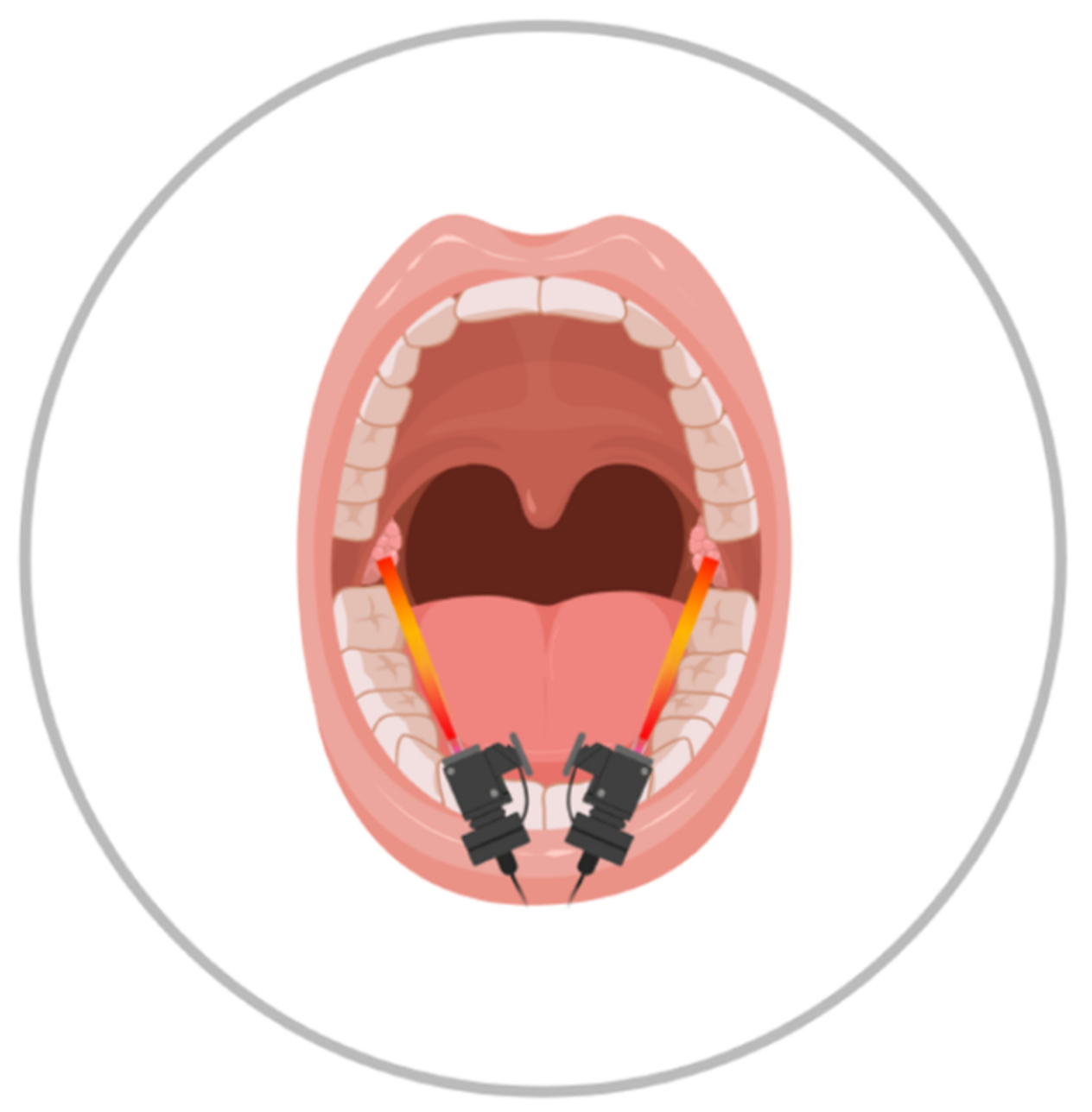 Life 12 00202 g001 550