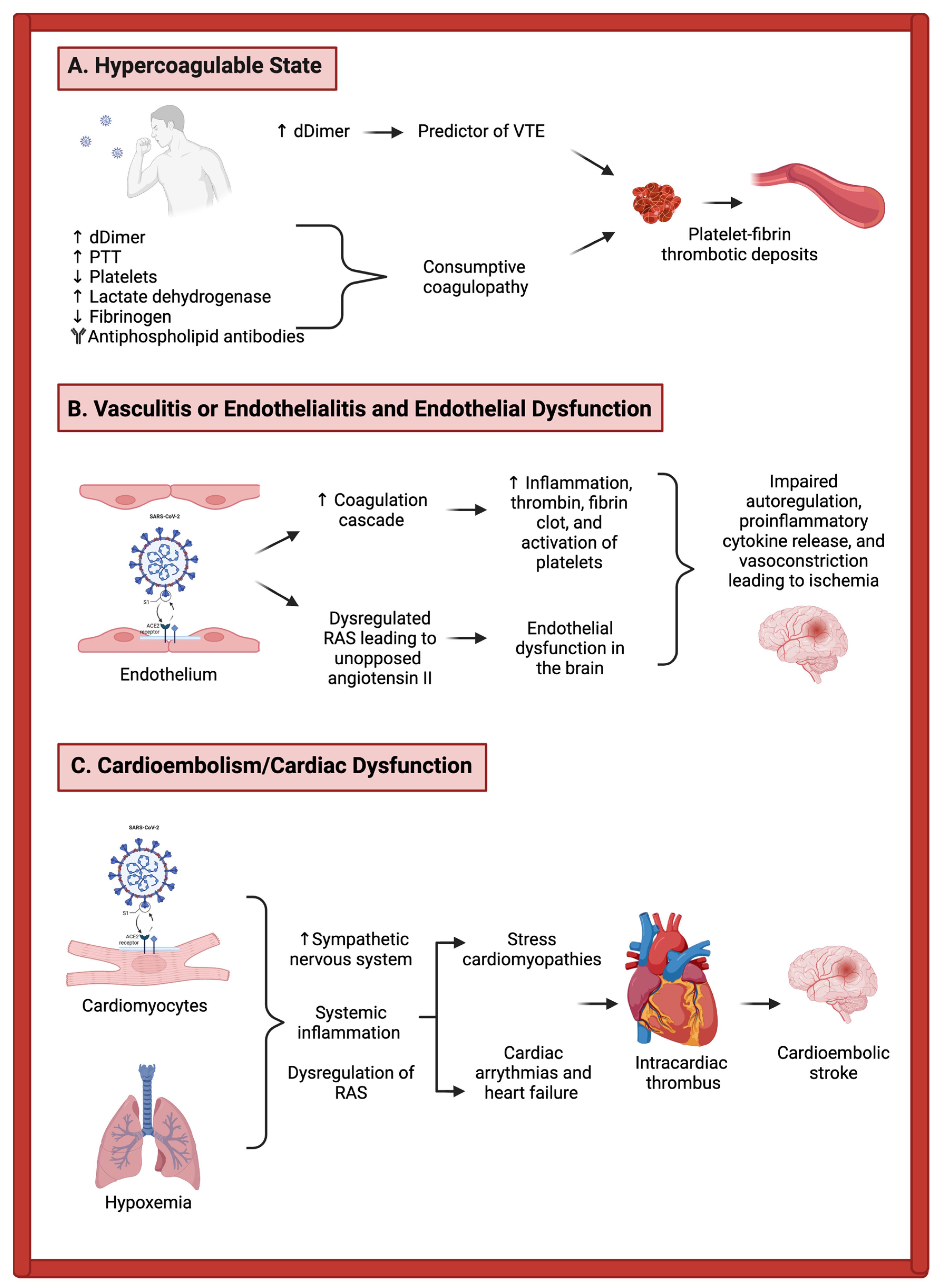 Life 12 00207 g001 550