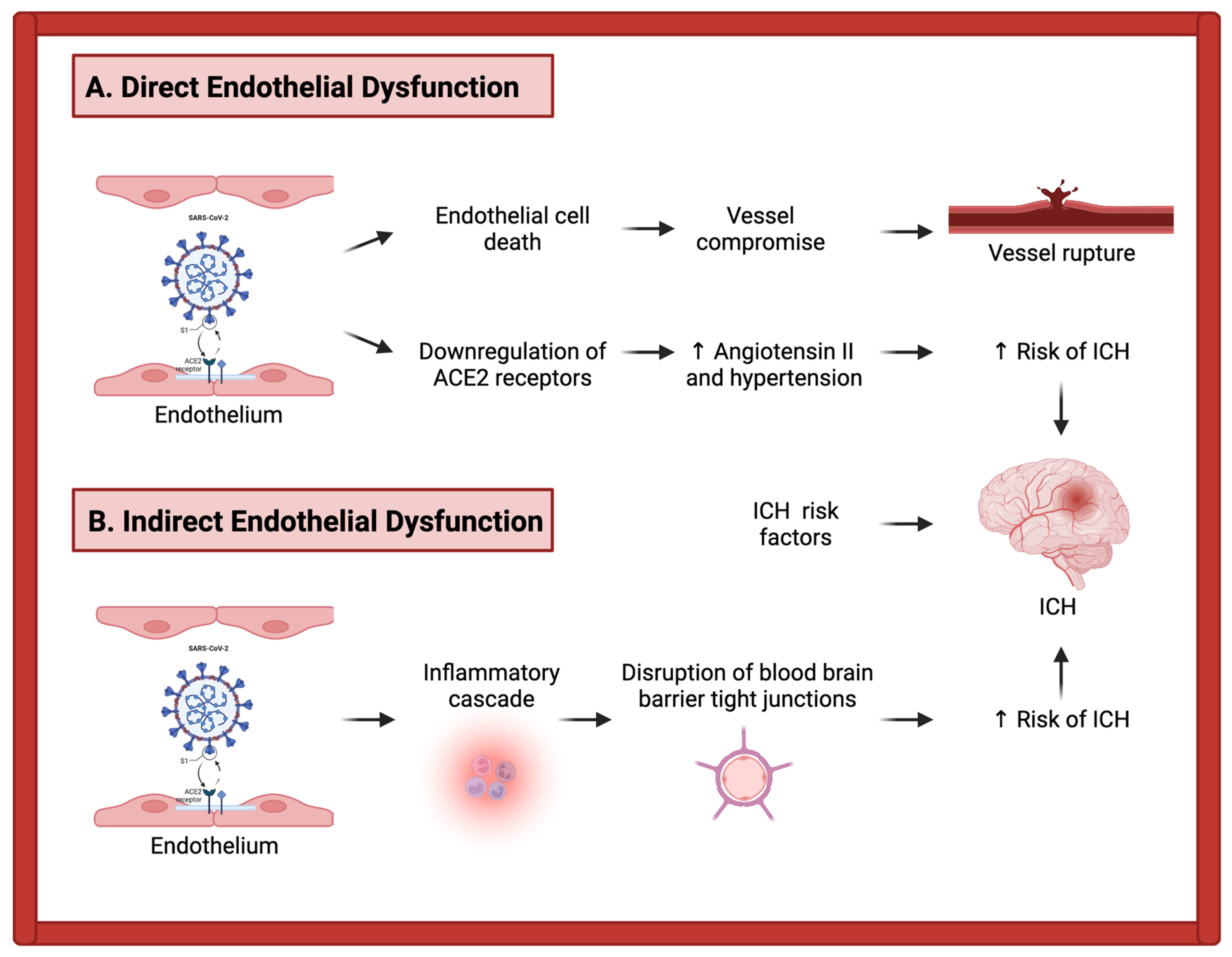 Life 12 00207 g002 550