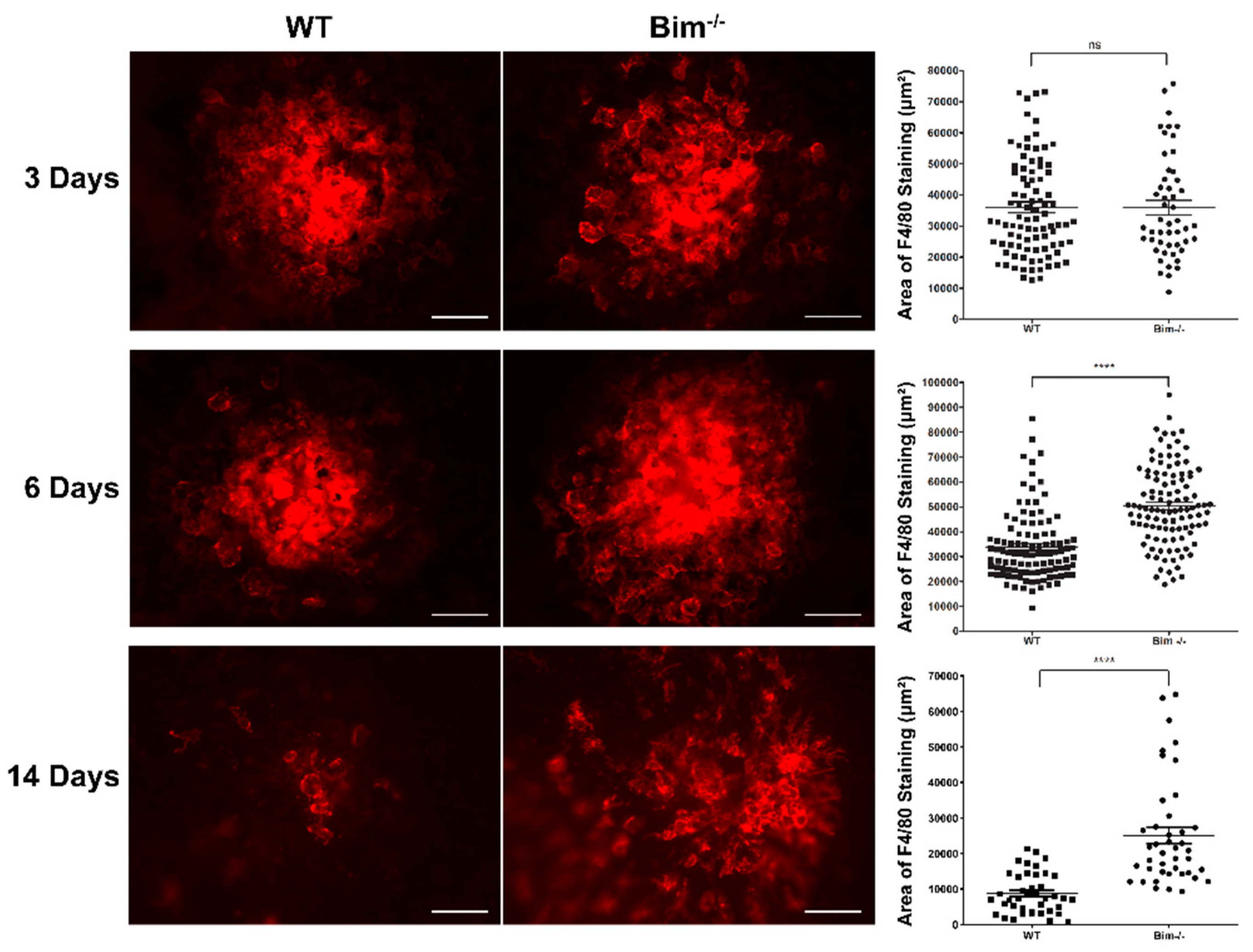 Life 12 00208 g001 Life 12 00208 g001
