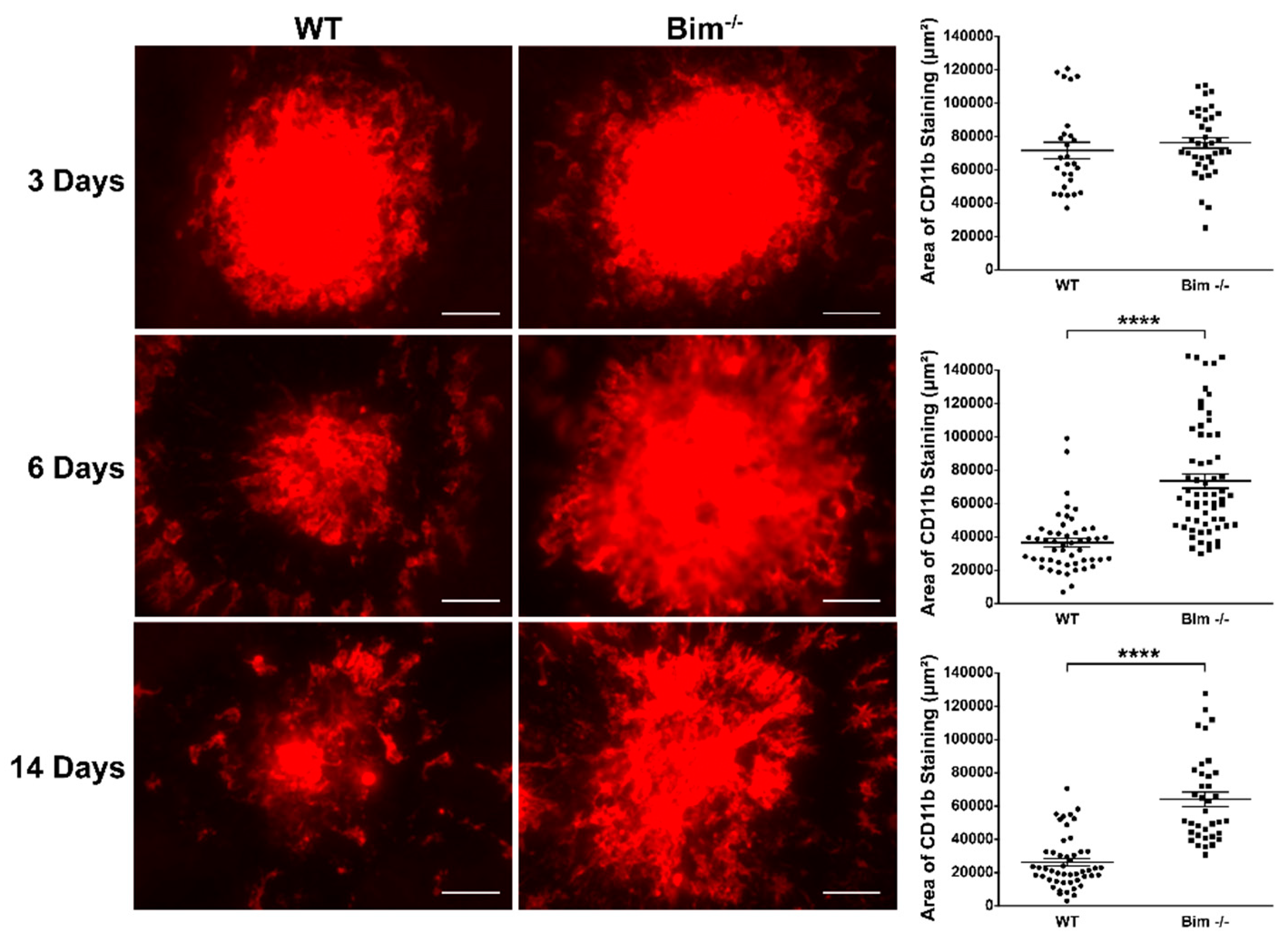 Life 12 00208 g002 Life 12 00208 g002