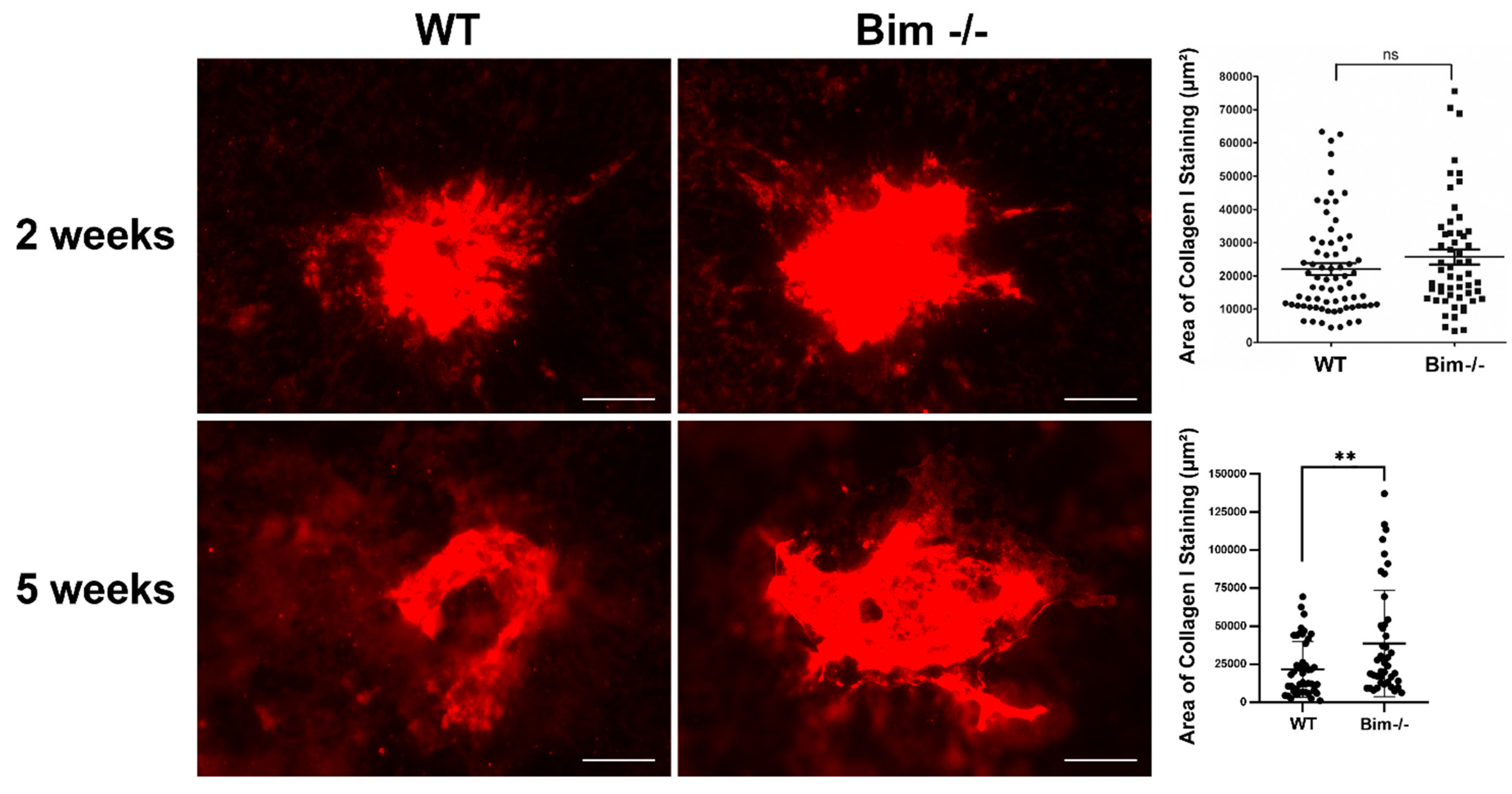 Life 12 00208 g008 Life 12 00208 g008