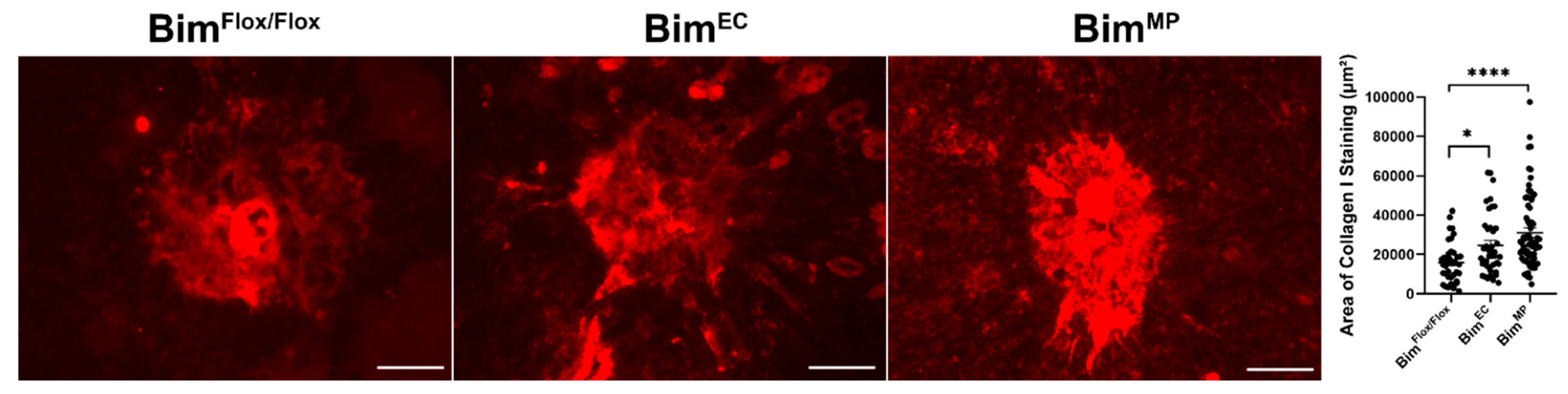 Life 12 00208 g010 Life 12 00208 g010
