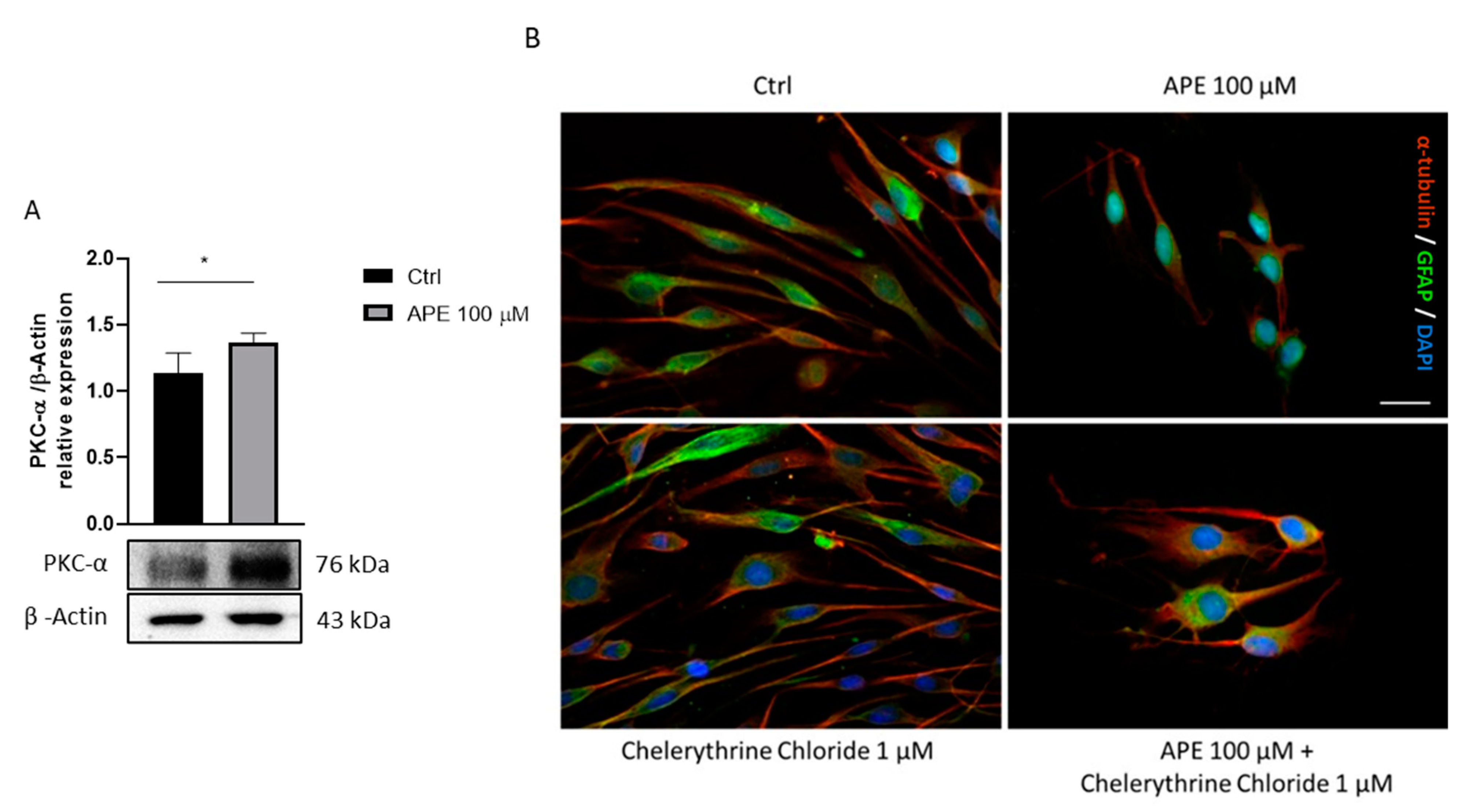 Life 12 00211 g003 Life 12 00211 g003