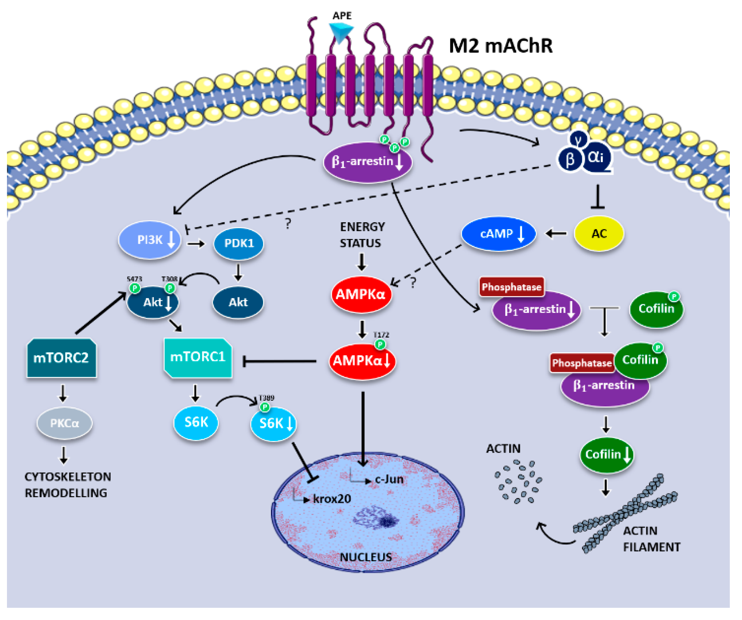 Life 12 00211 g004 Life 12 00211 g004