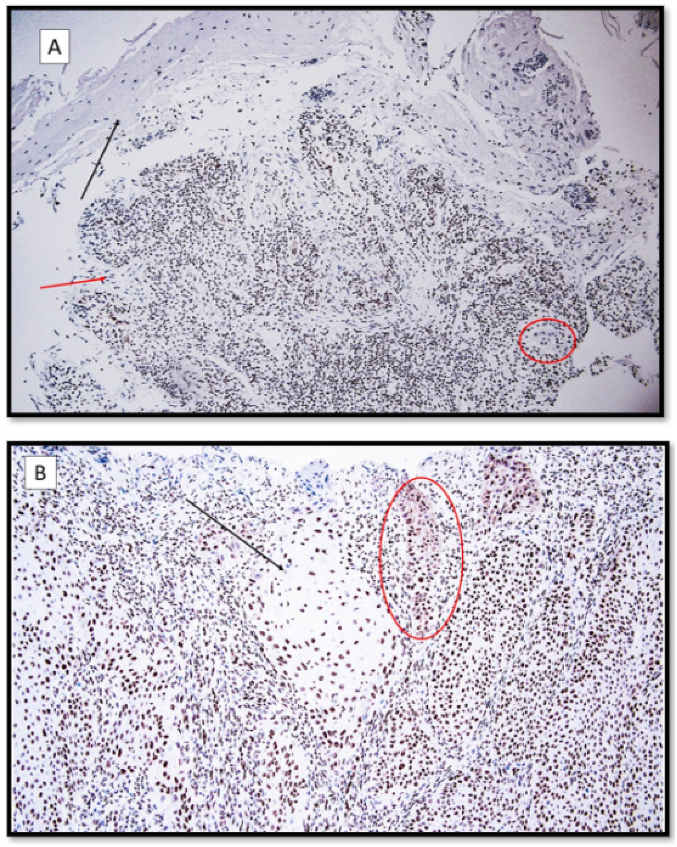 Life 12 00213 g001 550