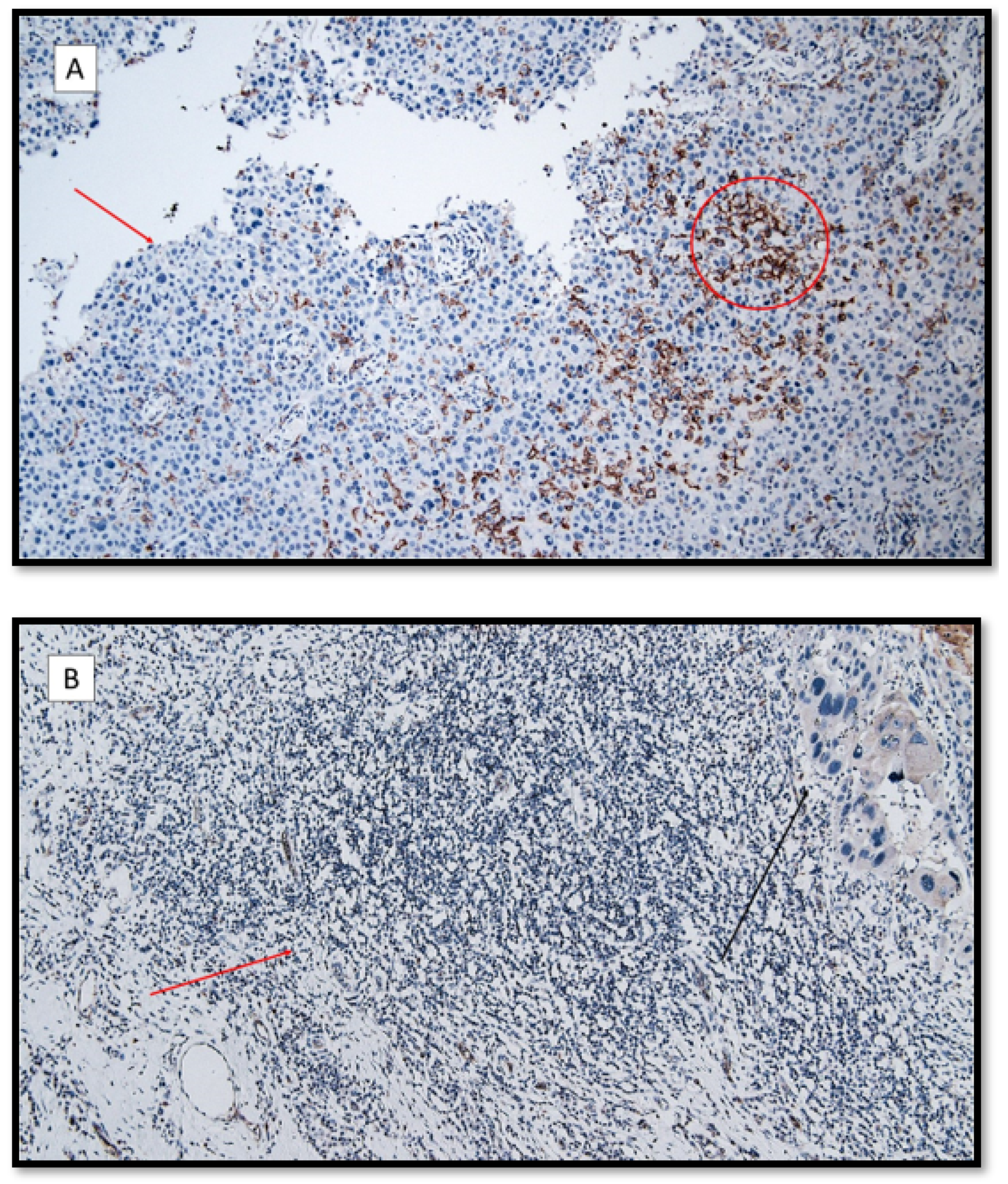 Life 12 00213 g003 550