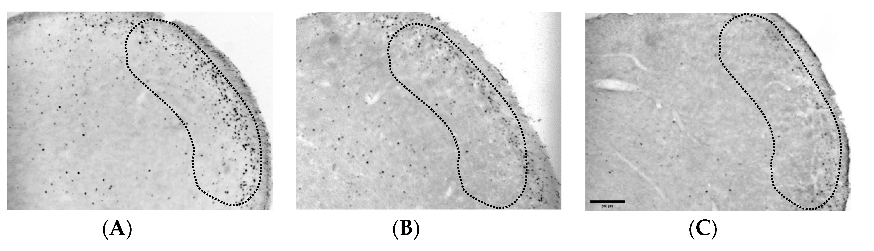 Life 12 00215 g002a Life 12 00215 g002a