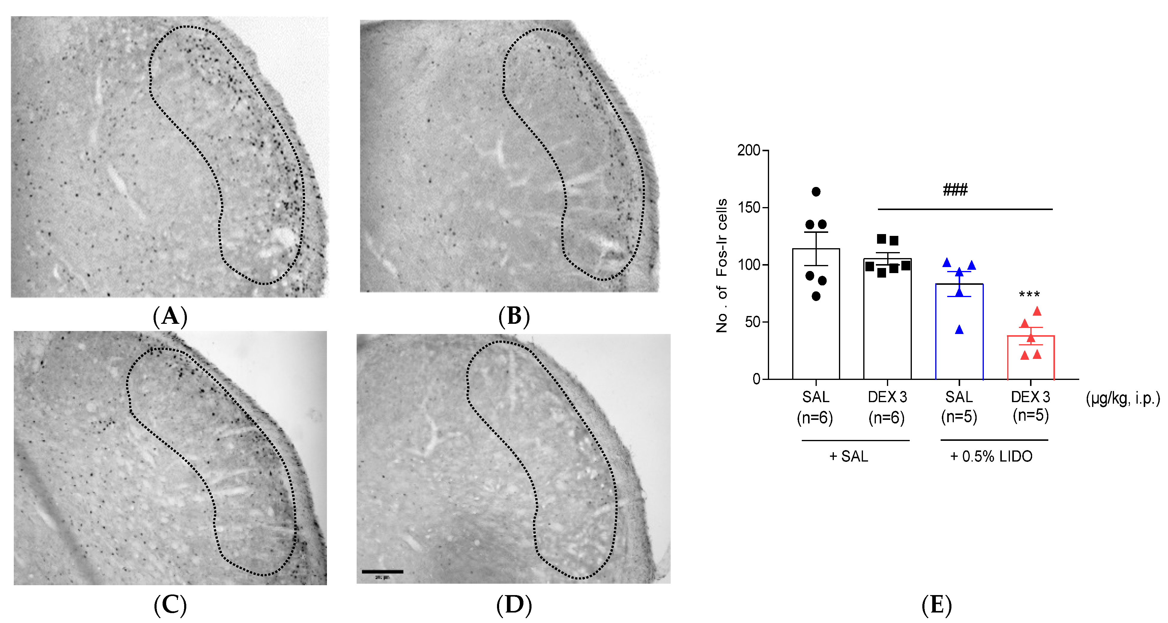 Life 12 00215 g005 Life 12 00215 g005