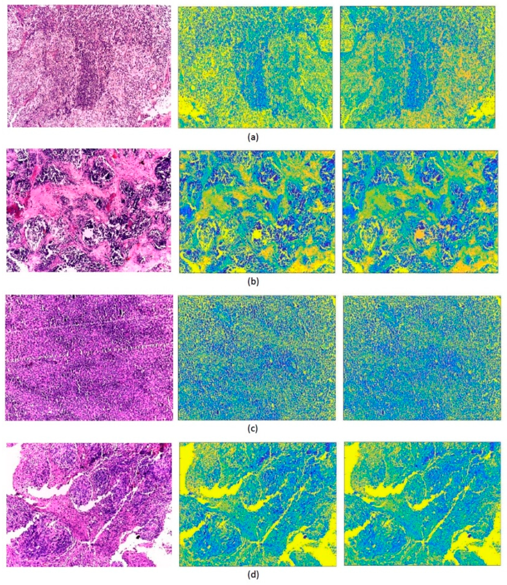 Life 12 00232 g002 Life 12 00232 g002