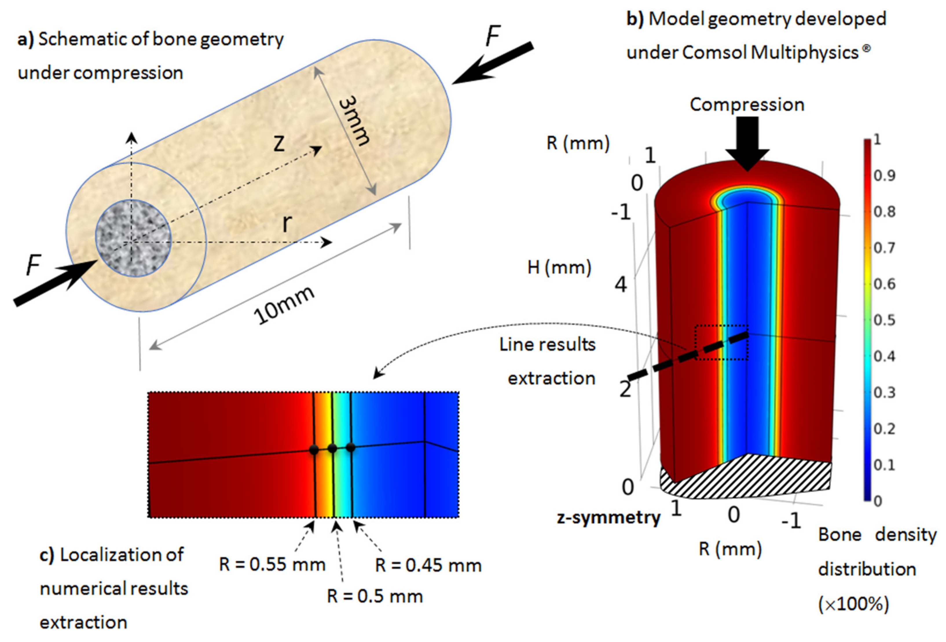 Life 12 00233 g002 Life 12 00233 g002