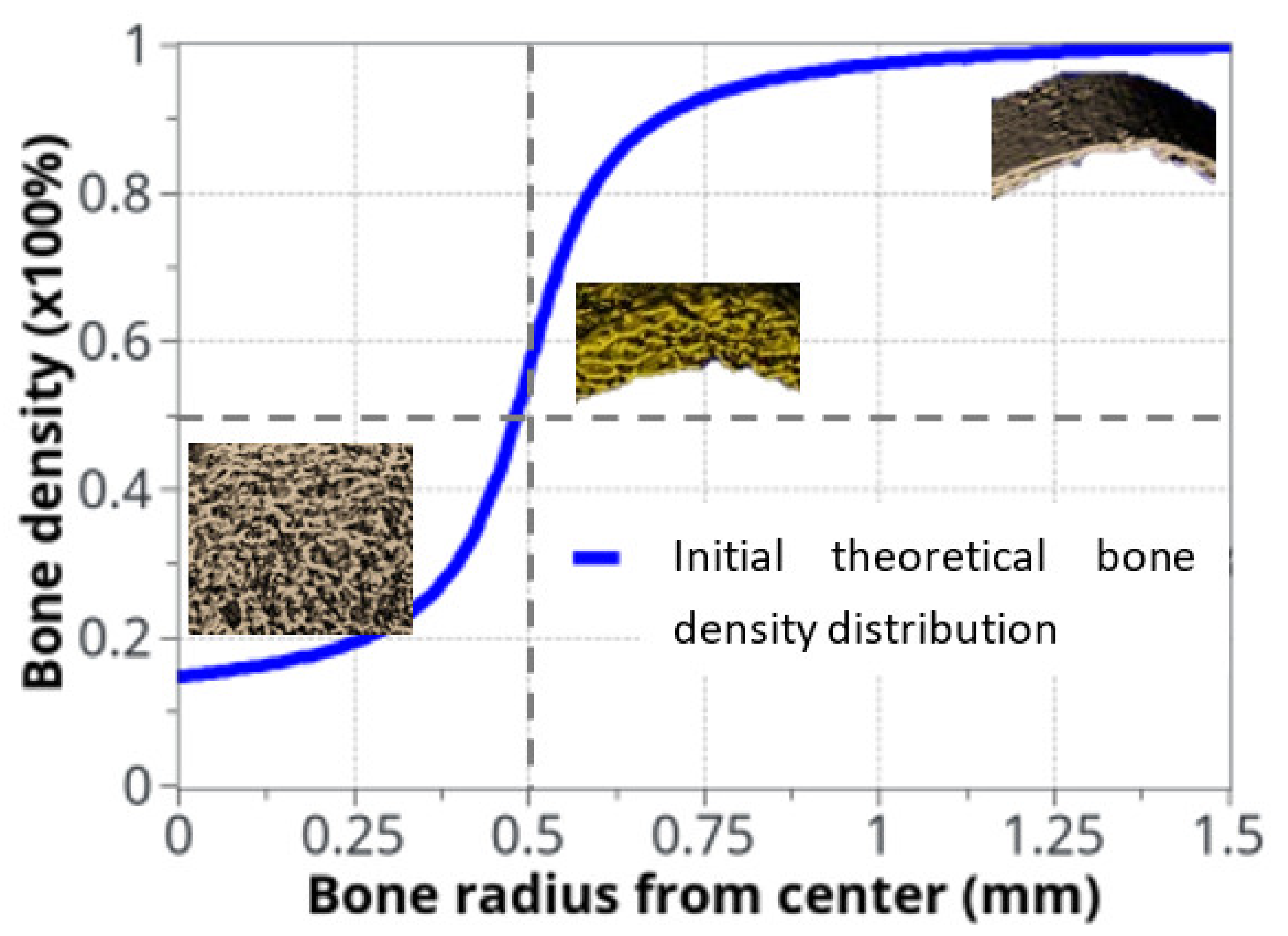 Life 12 00233 g003 Life 12 00233 g003