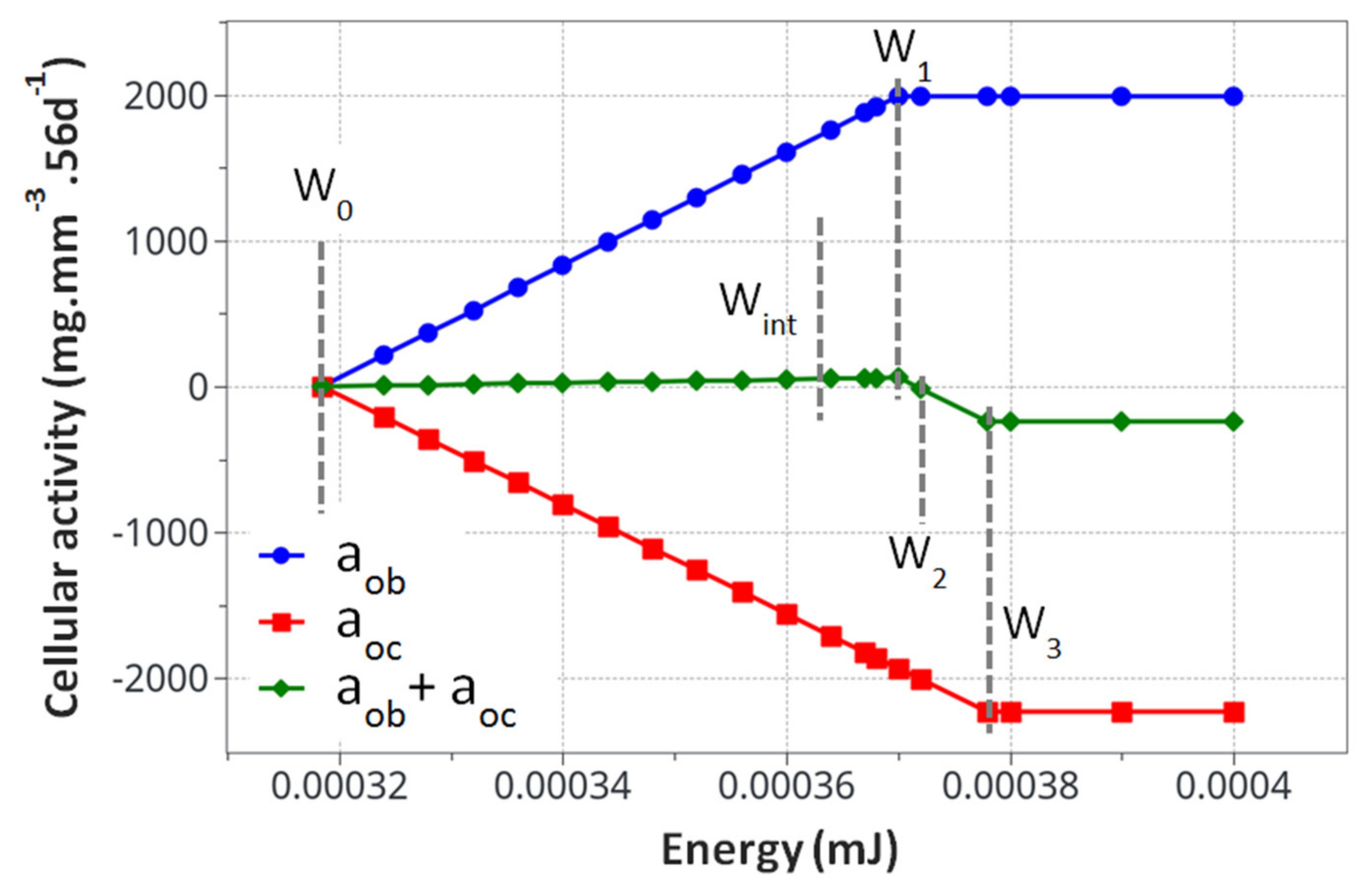 Life 12 00233 g004 Life 12 00233 g004