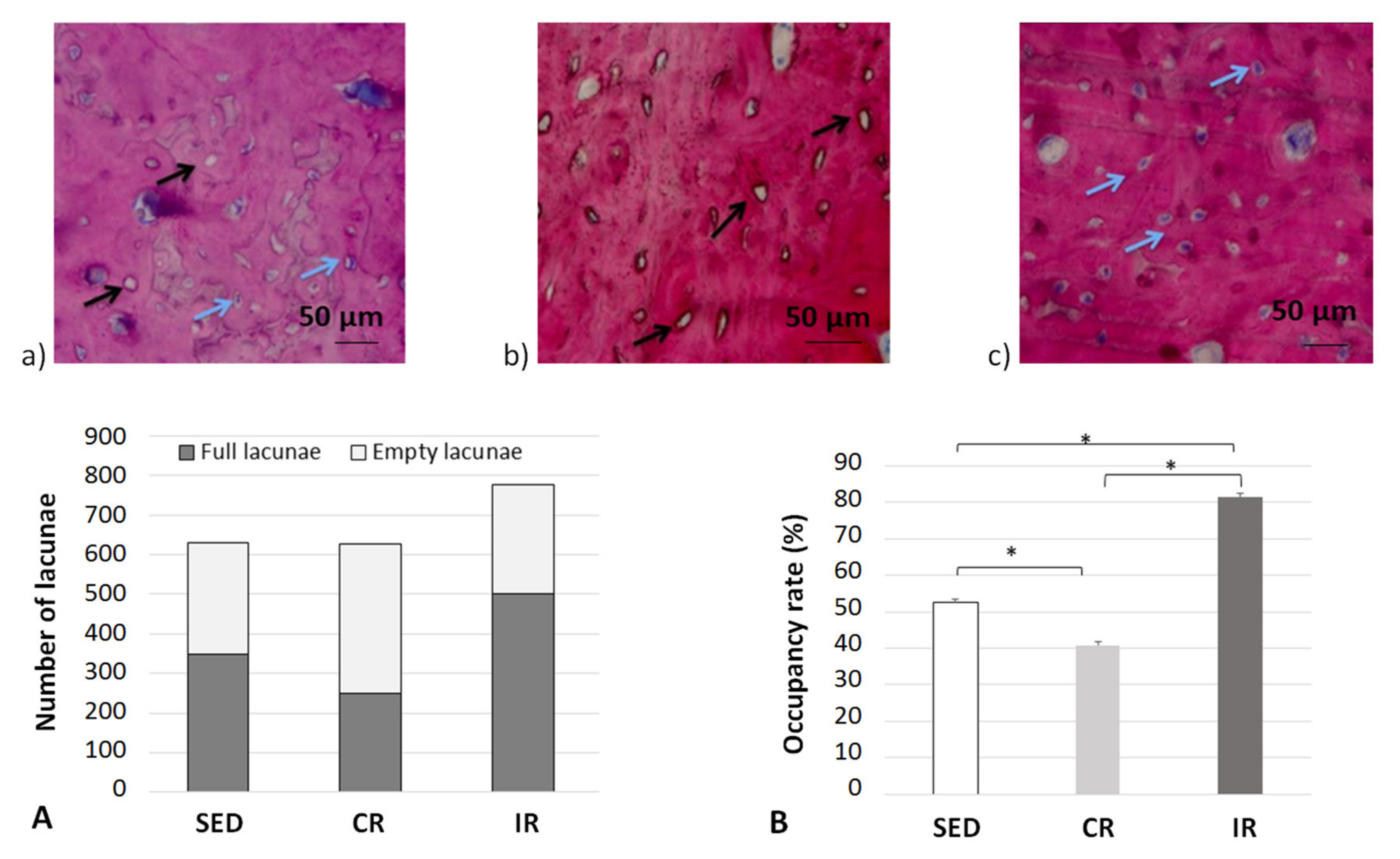 Life 12 00233 g014 Life 12 00233 g014