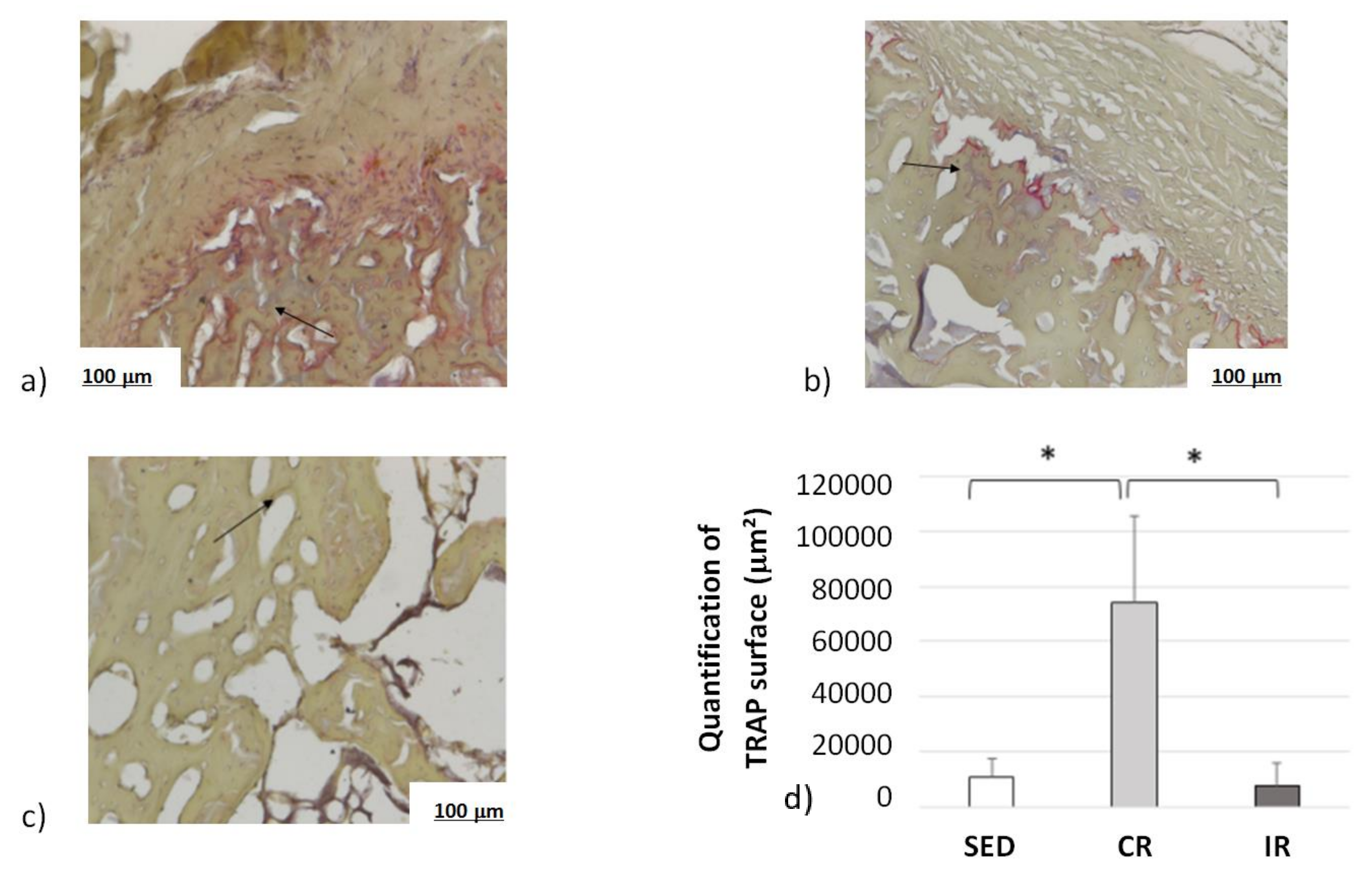 Life 12 00233 g015 Life 12 00233 g015