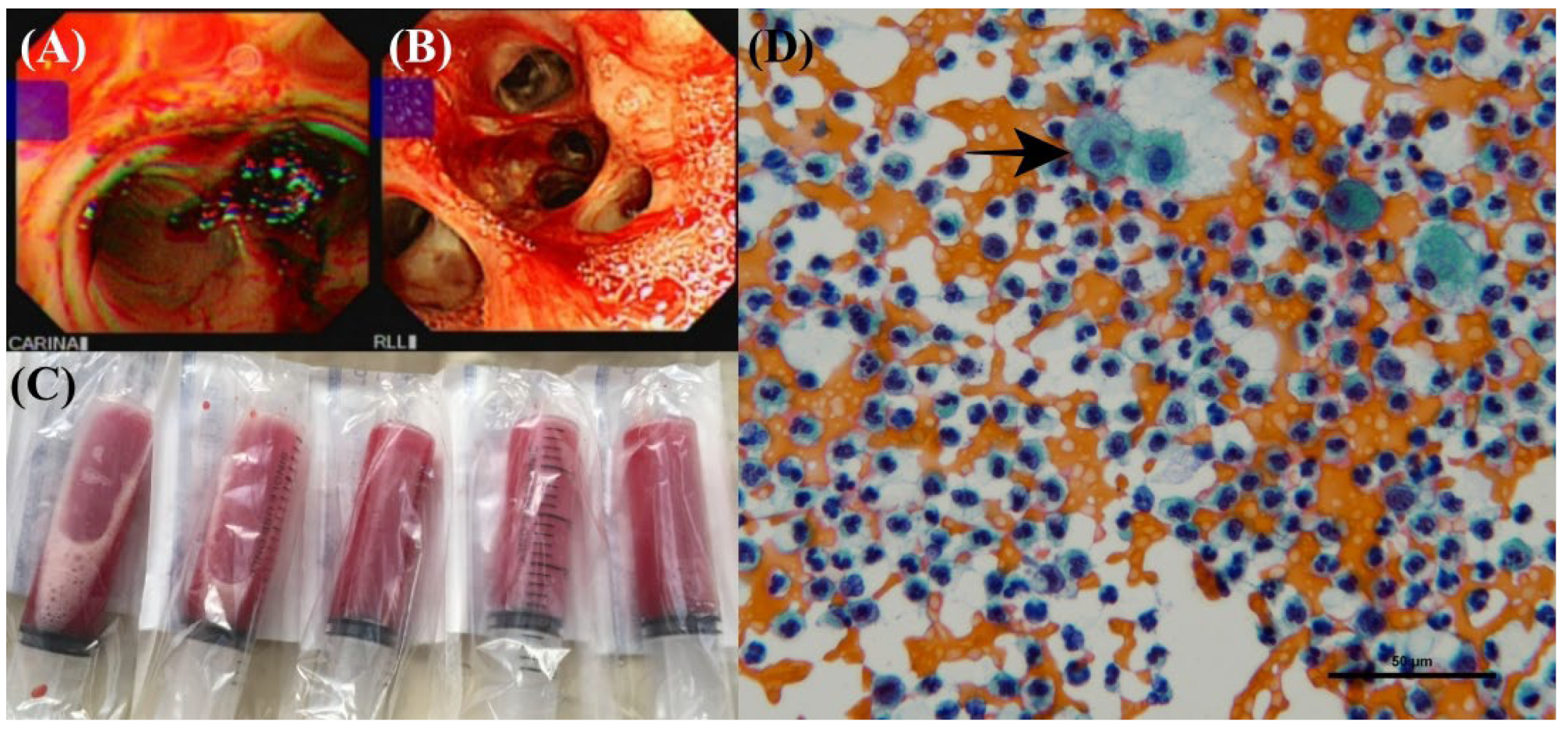 Life 12 00235 g003 Life 12 00235 g003