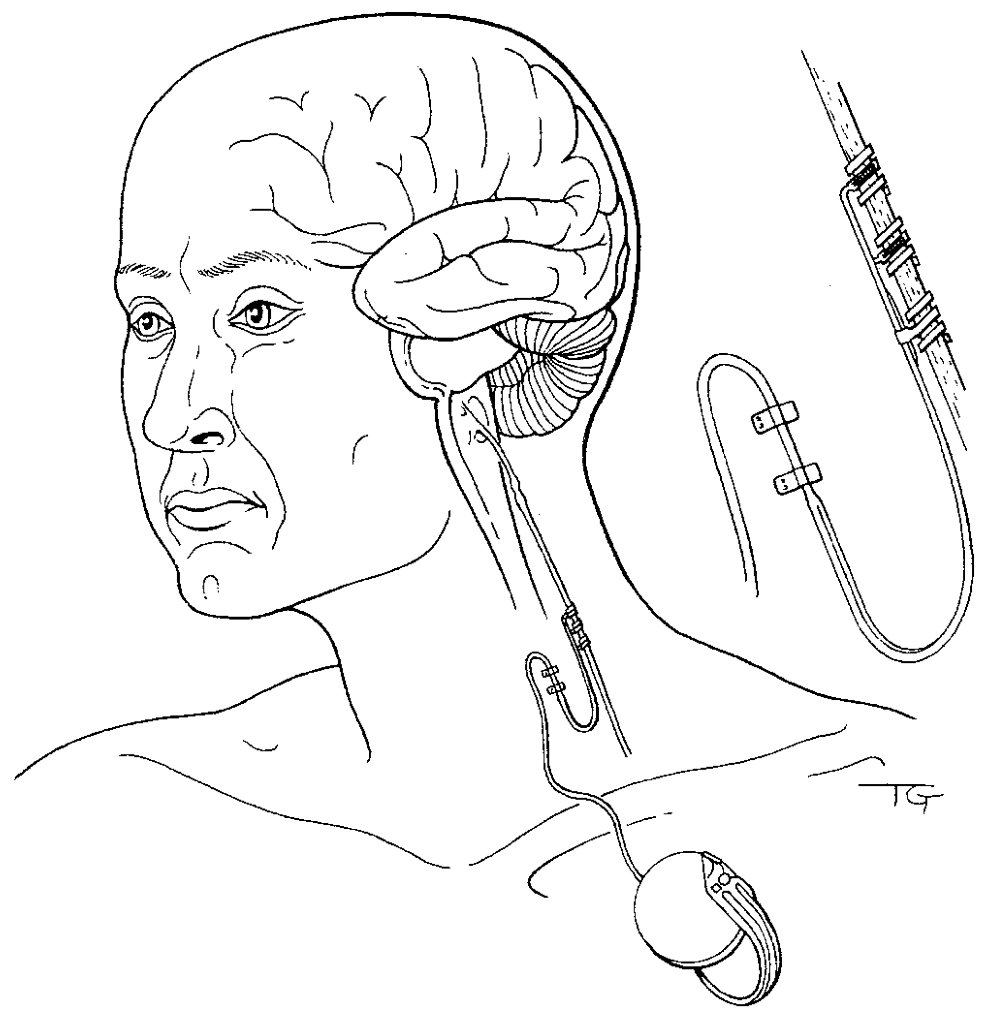 Life 12 00236 g001 550