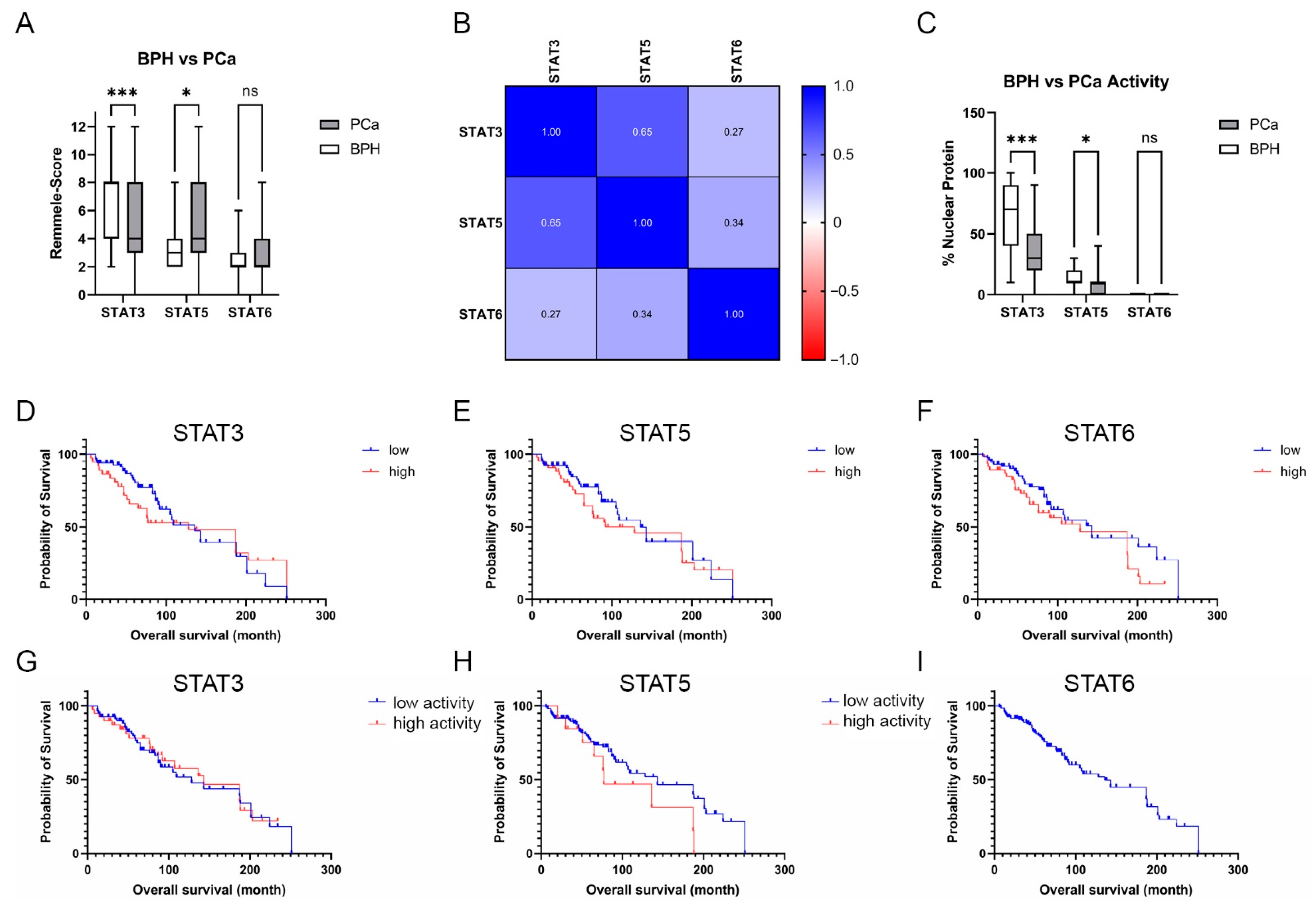 Life 12 00240 g005 Life 12 00240 g005