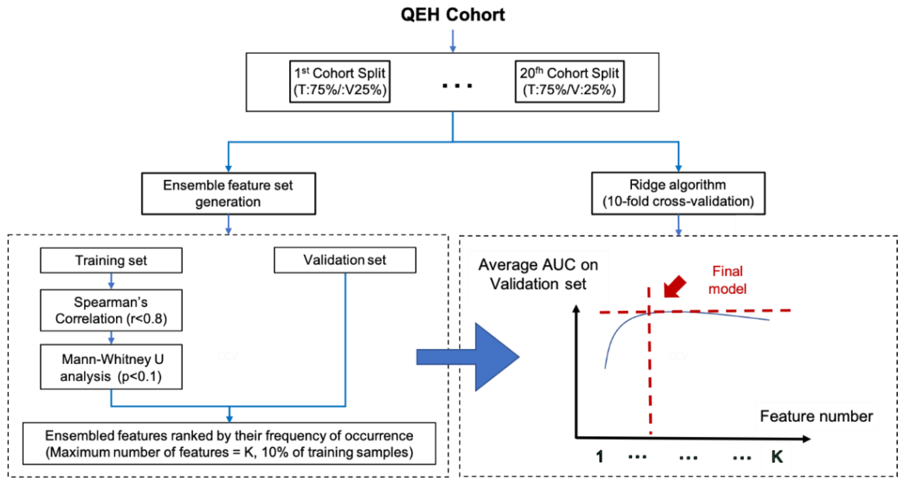 Life 12 00241 g001 Life 12 00241 g001