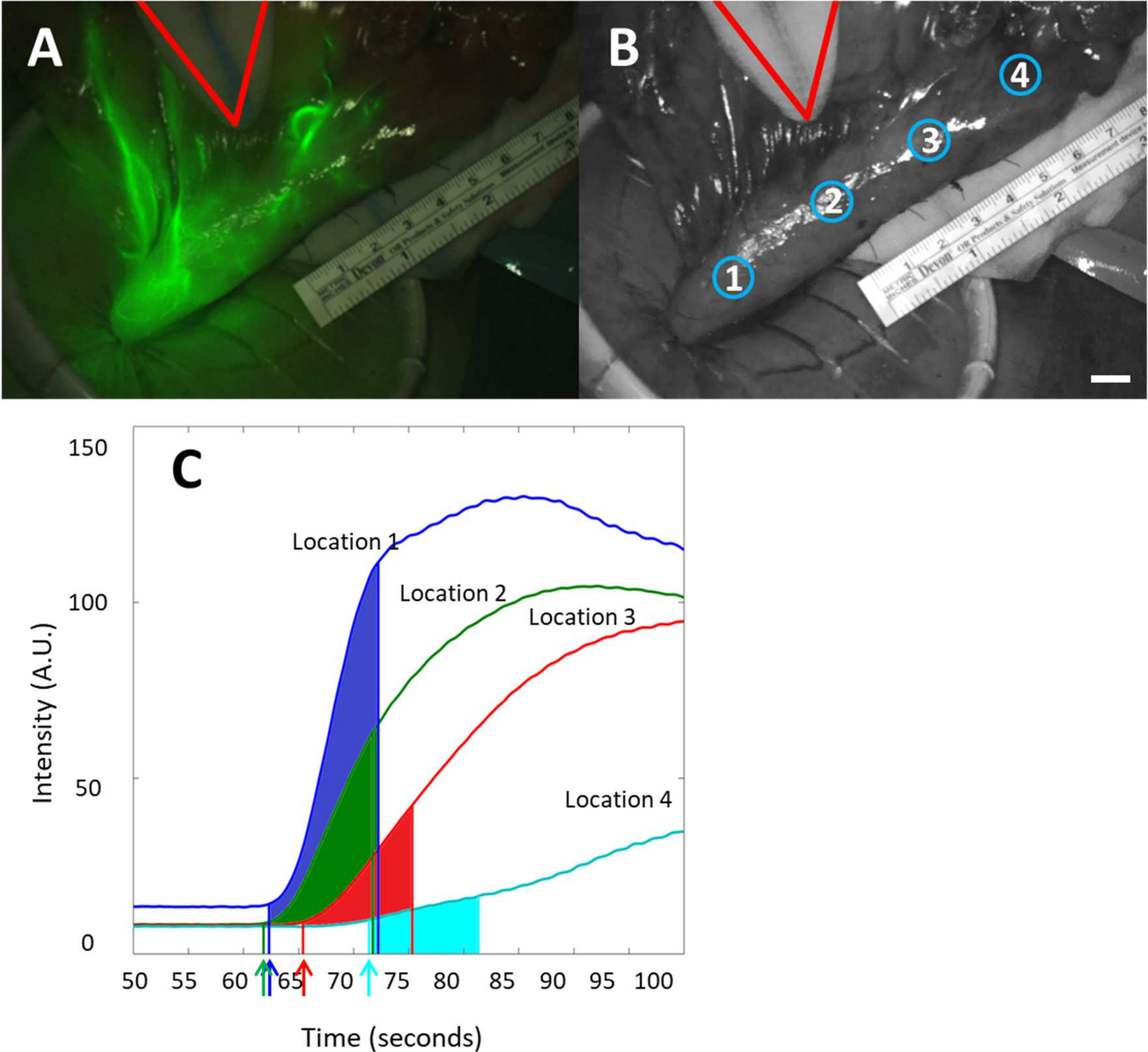 Life 12 00249 g002 550