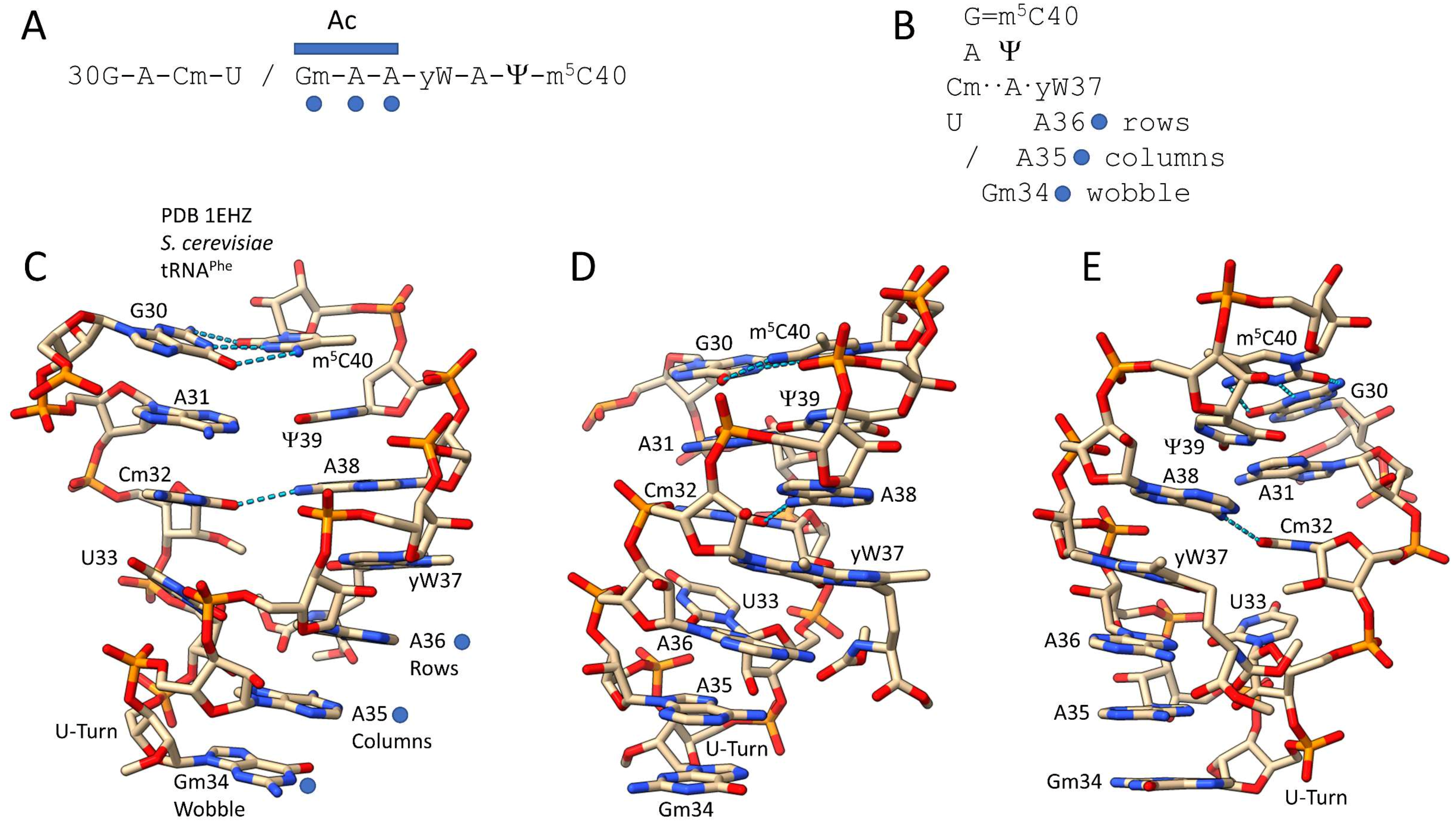 Life 12 00252 g001 550