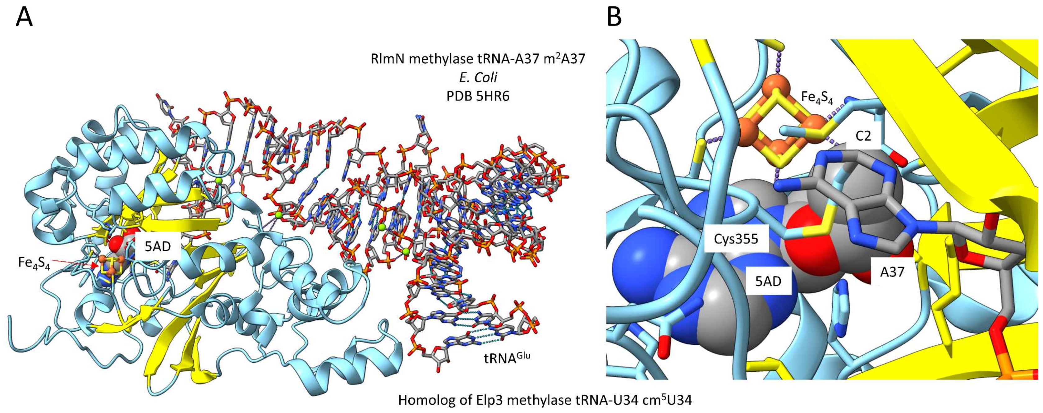 Life 12 00252 g007 550