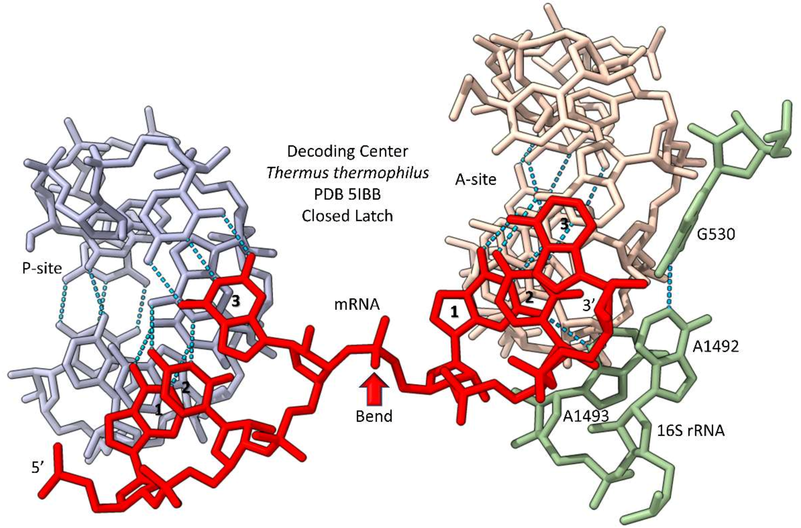 Life 12 00252 g009 550