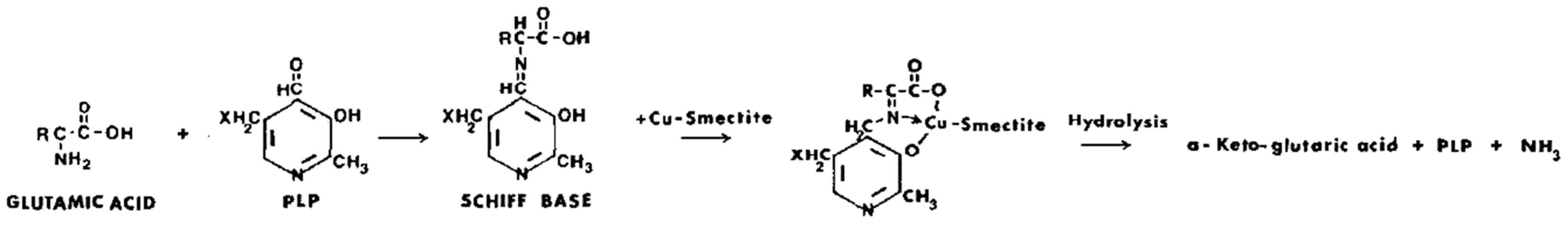 Life 12 00259 sch014