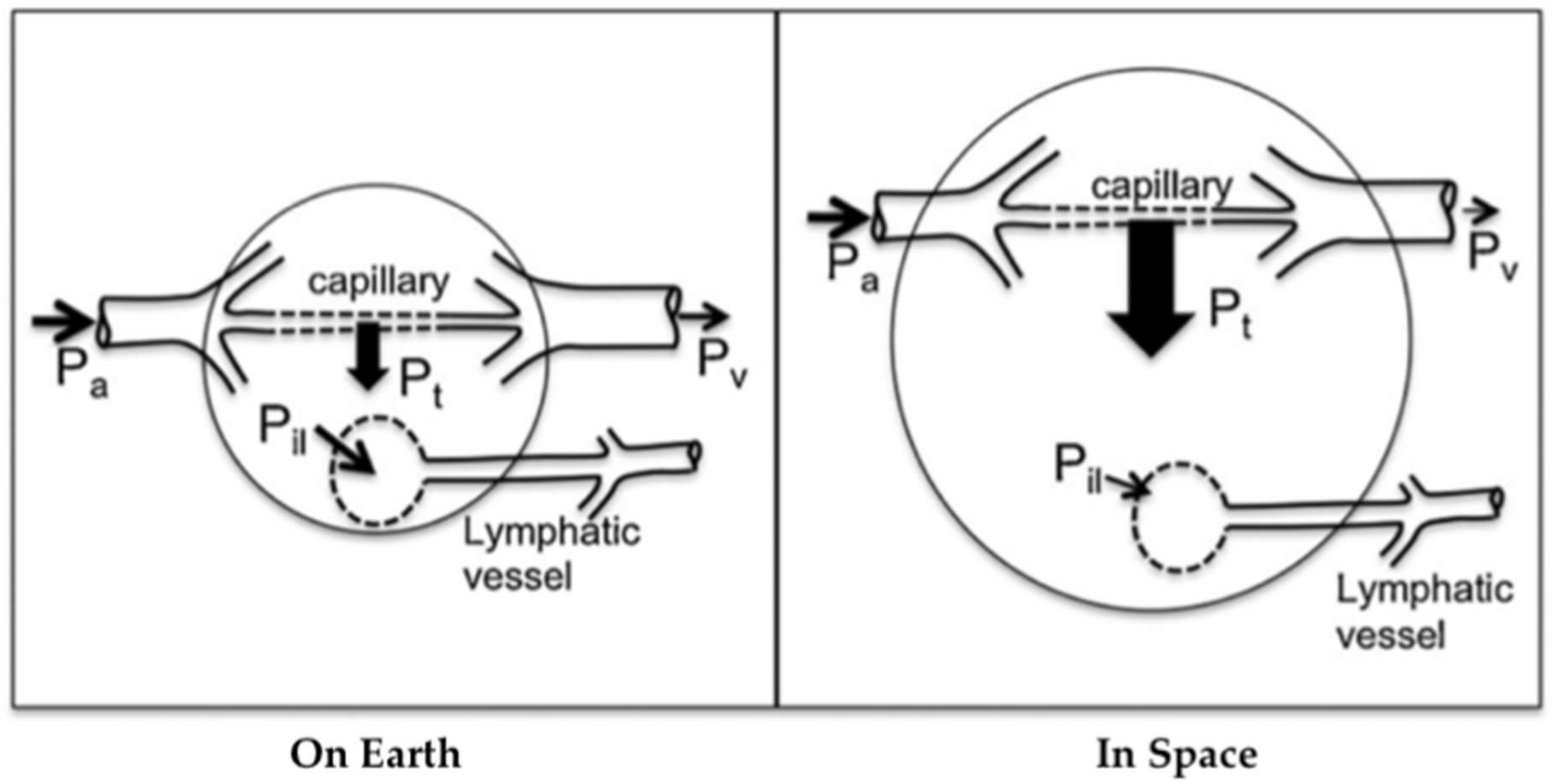 Life 12 00268 g002 550