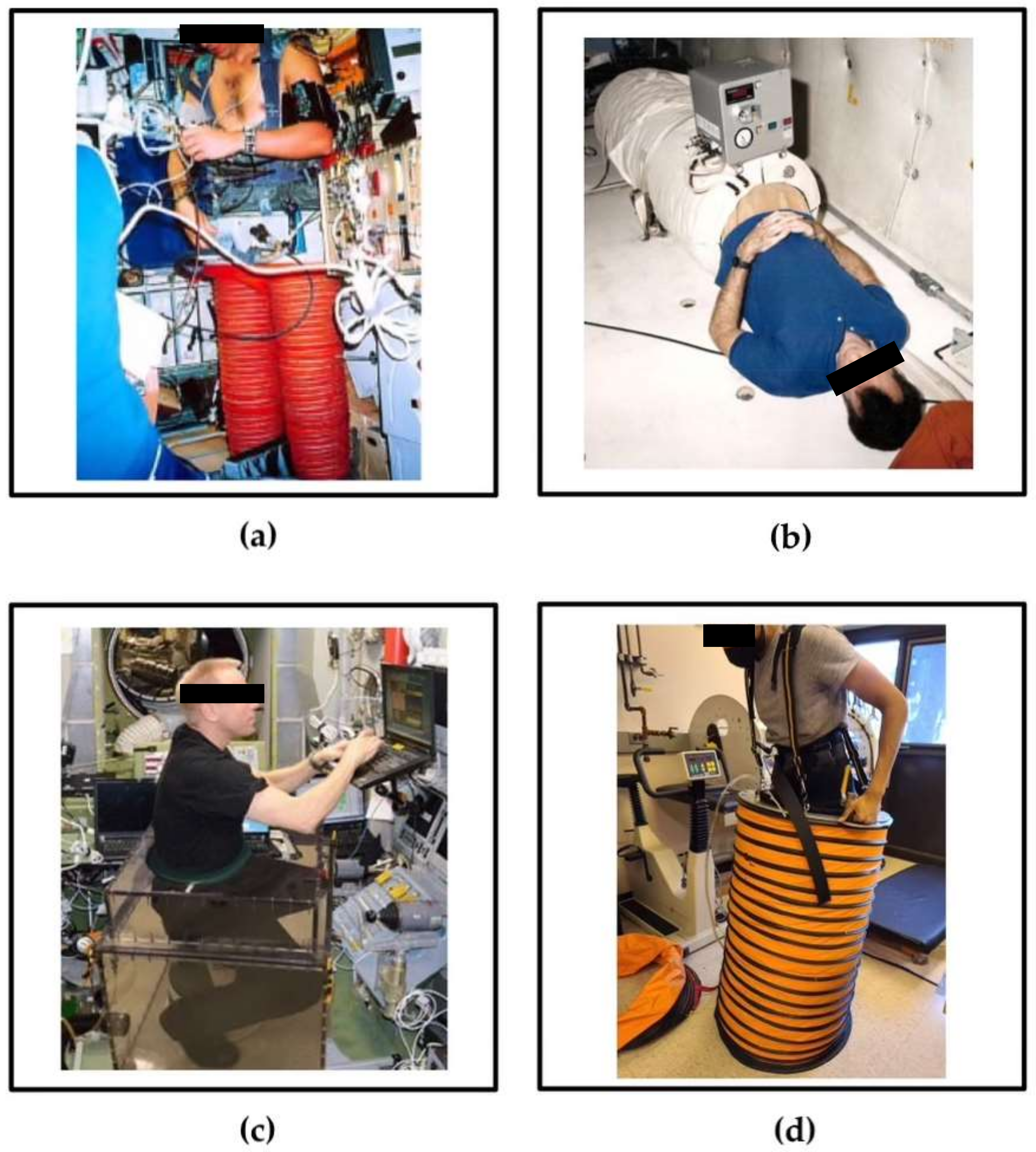 Life 12 00268 g003 550