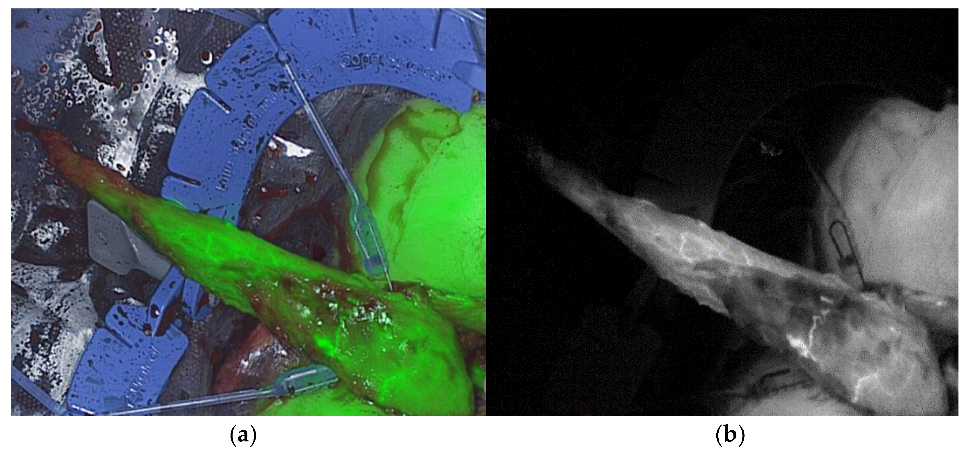 Life 12 00278 g001 550