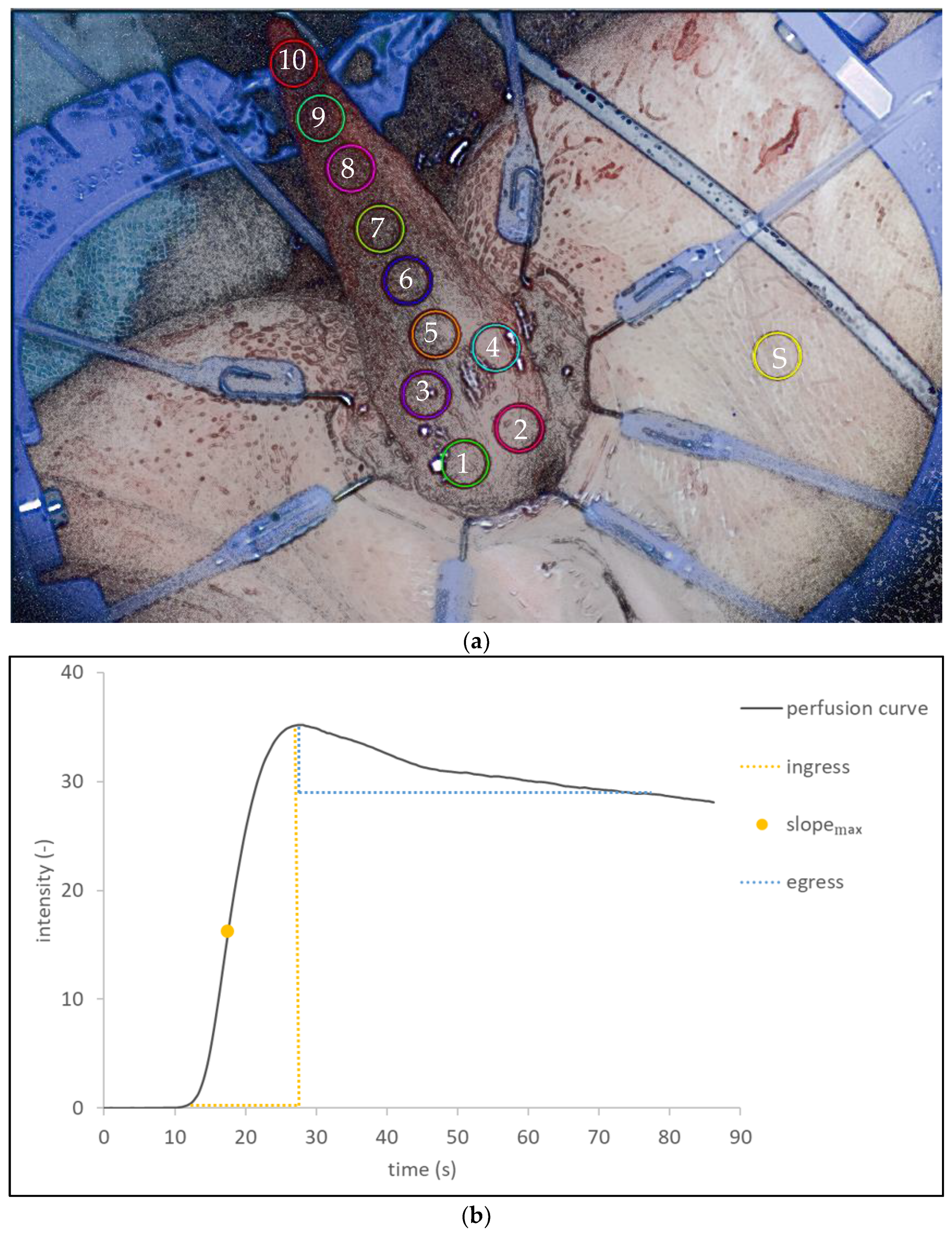 Life 12 00278 g002 550