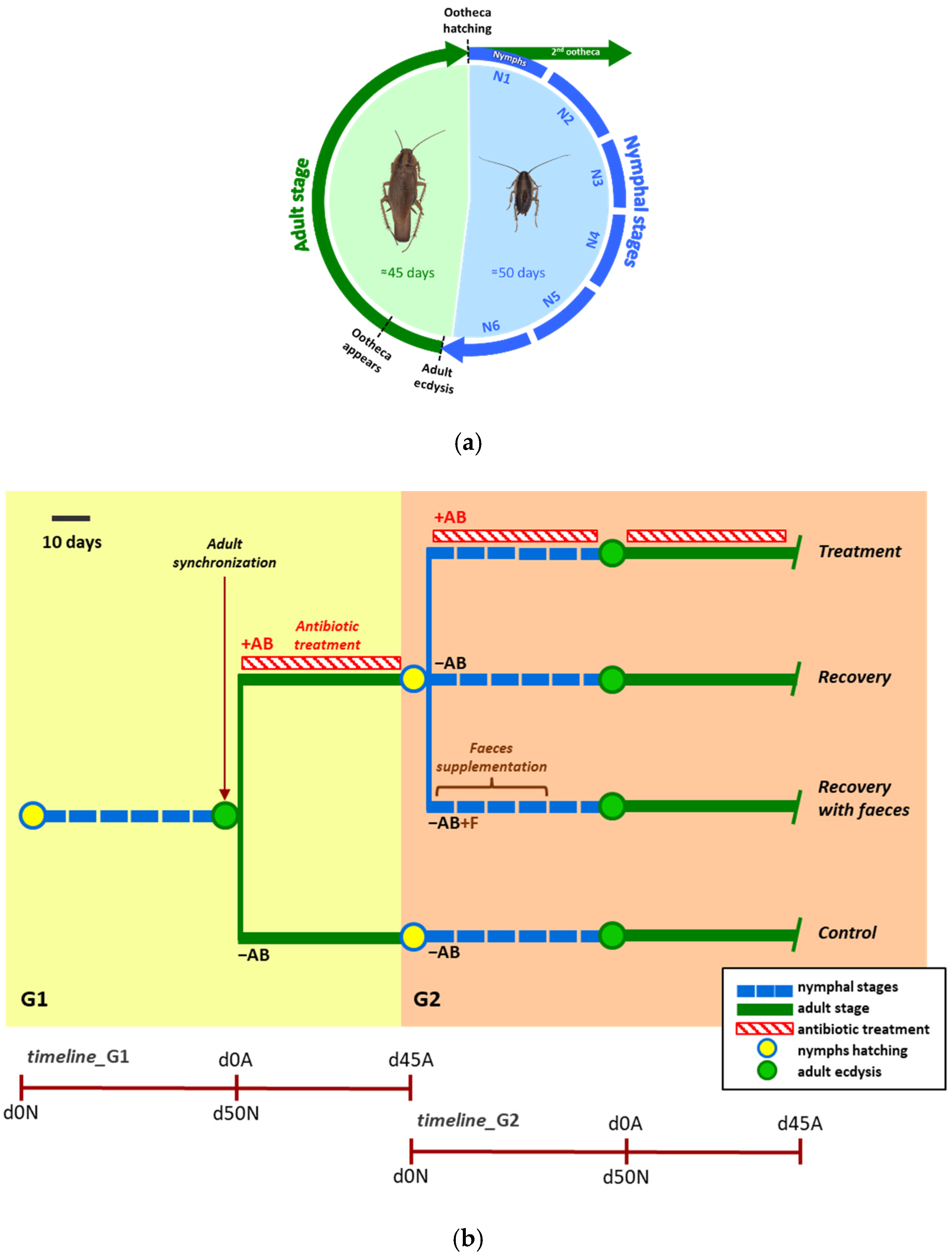 Life 12 00290 g001 550