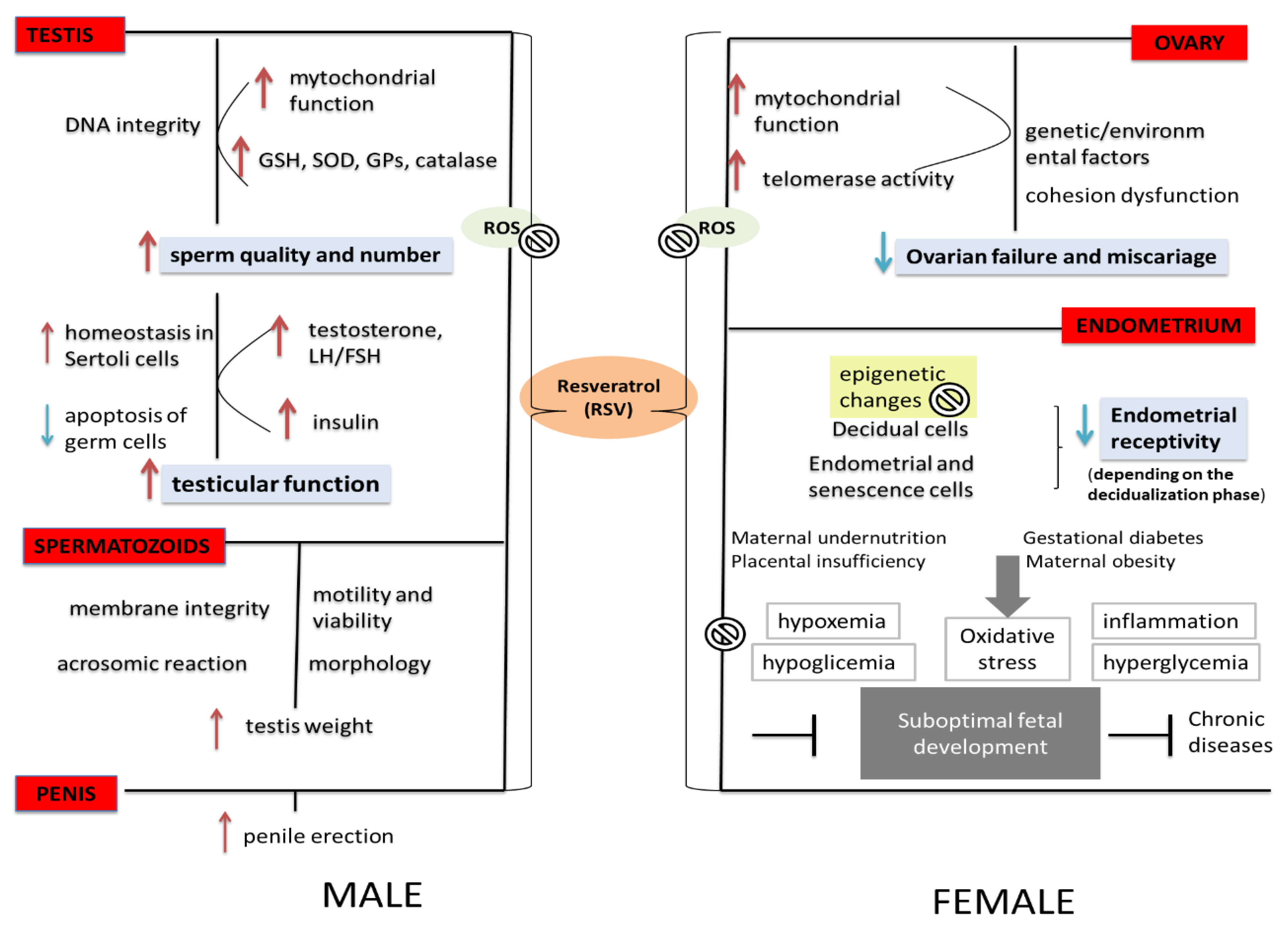 Life 12 00294 g001 550
