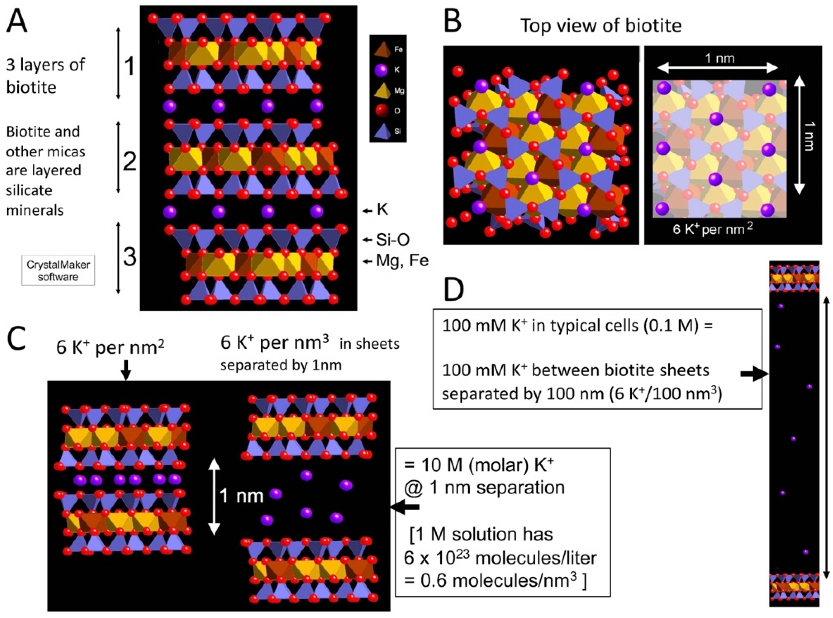 Life | Free Full-Text | Potassium at the Origins of Life: Did Biology Emerge from Biotite in Micaceous Clay?