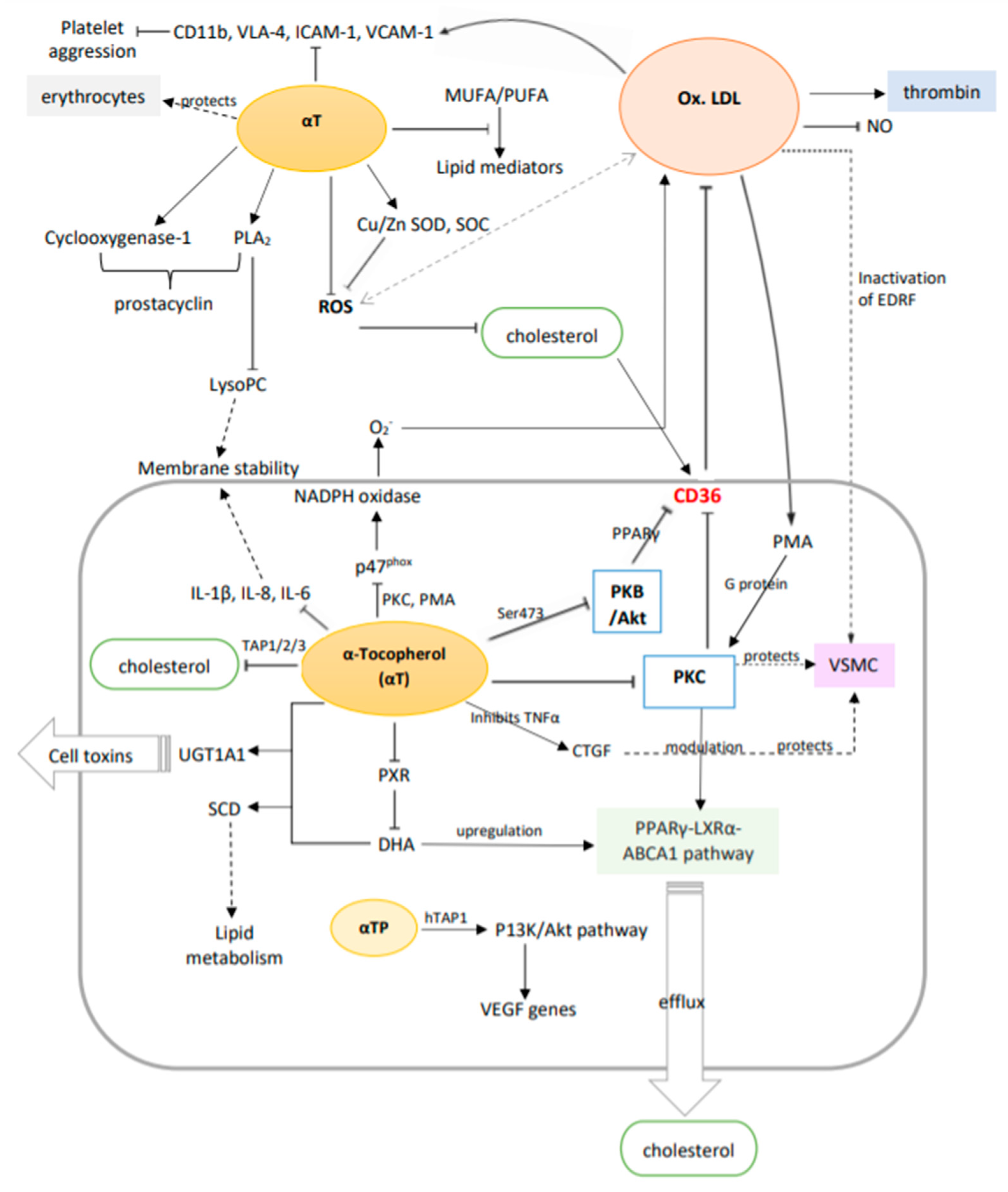 Life 12 00310 g005 Life 12 00310 g005