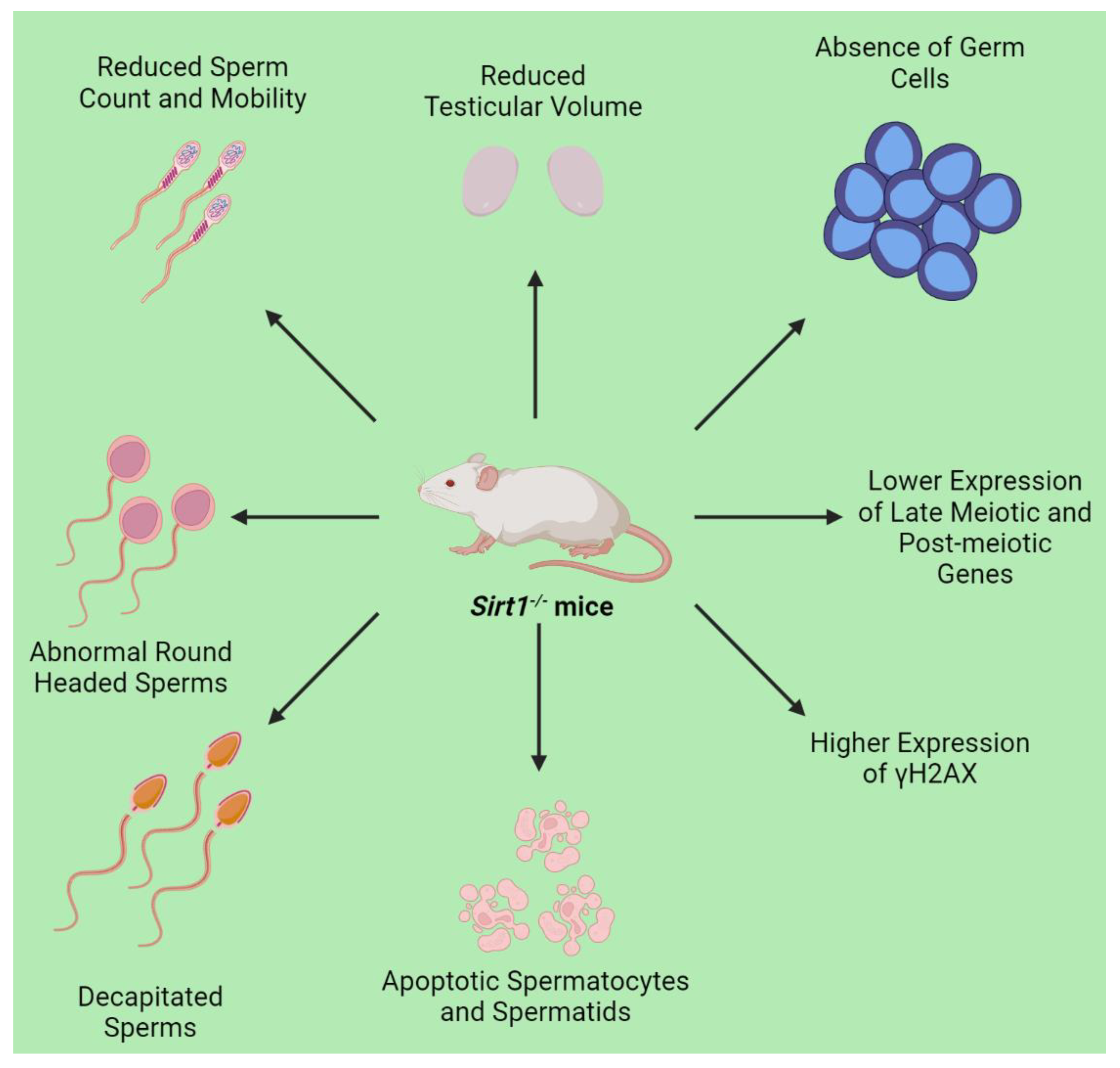 Life 12 00318 g001 Life 12 00318 g001