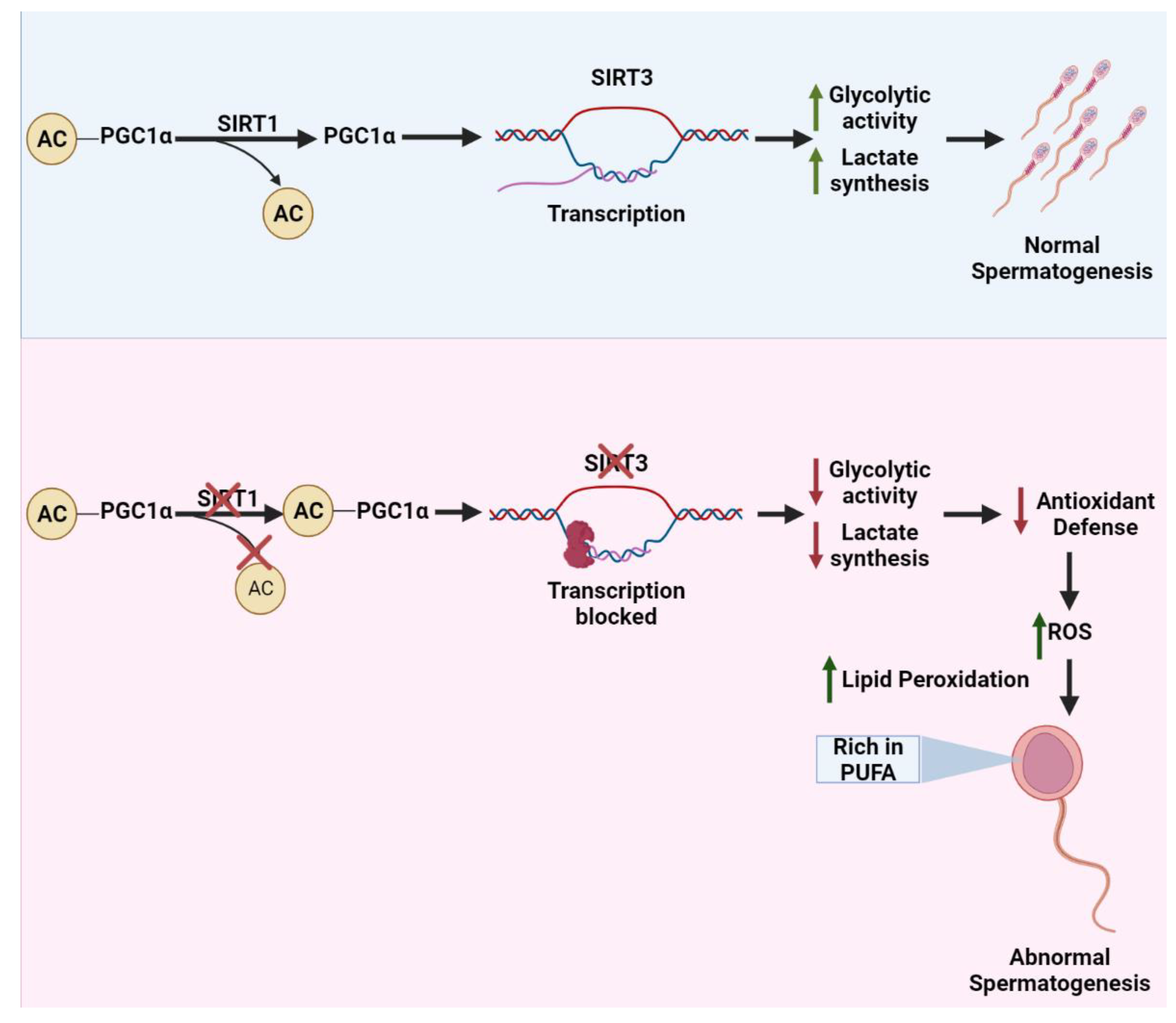 Life 12 00318 g003 Life 12 00318 g003