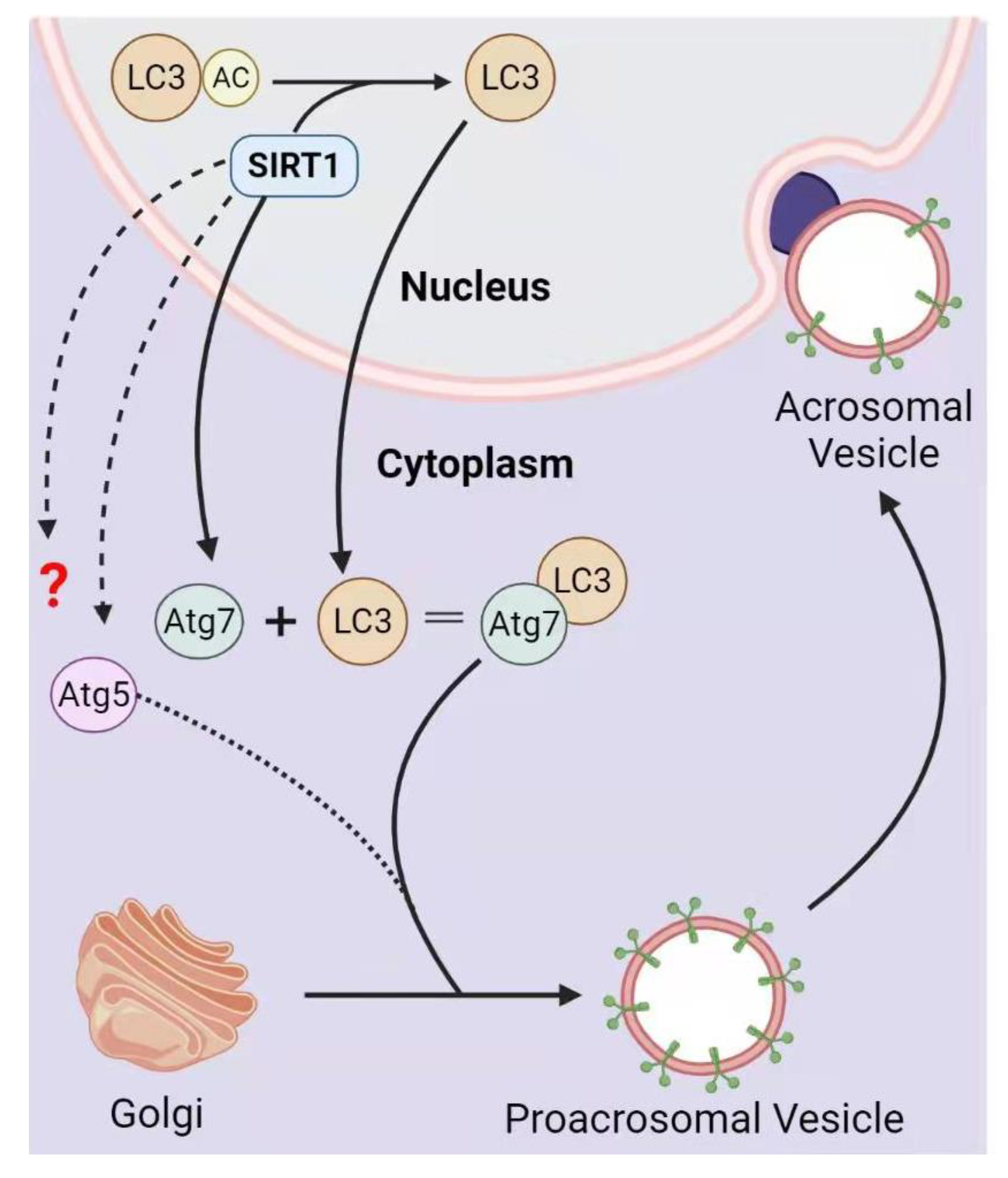 Life 12 00318 g004 Life 12 00318 g004