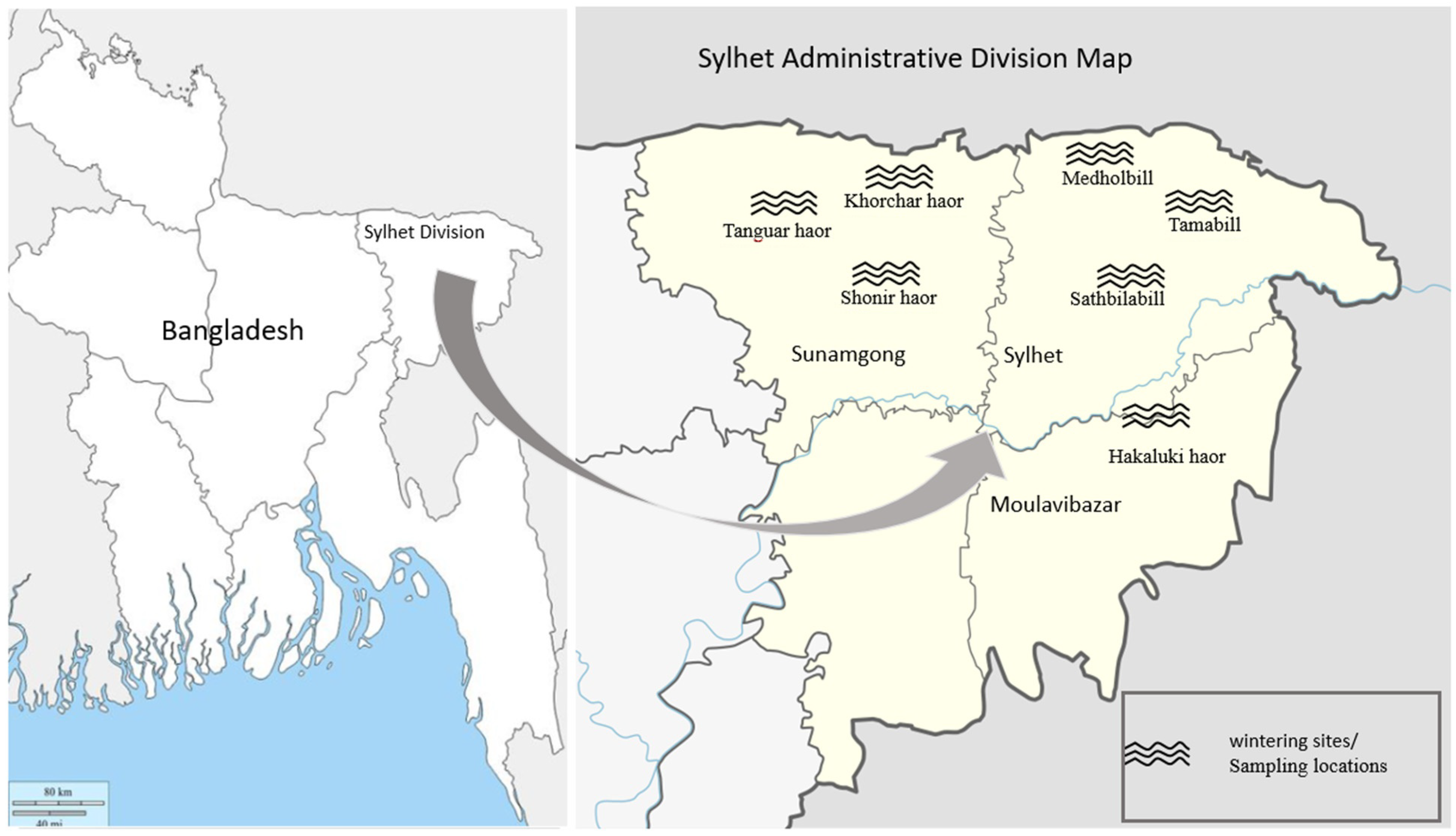 Life 12 00320 g001 Life 12 00320 g001