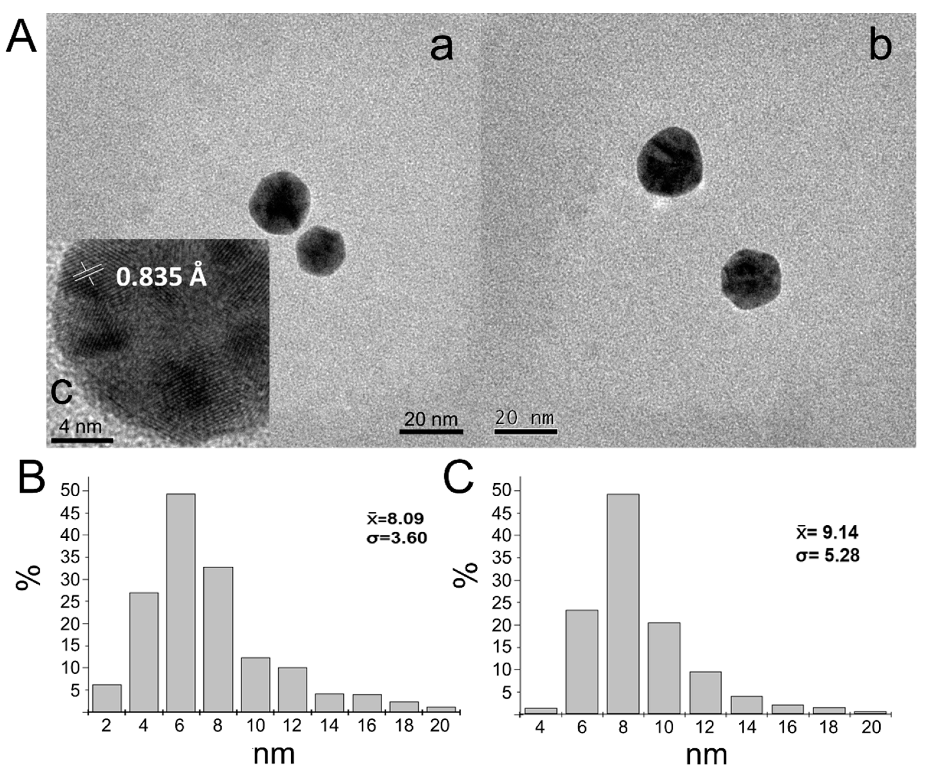 Life 12 00333 g002 550
