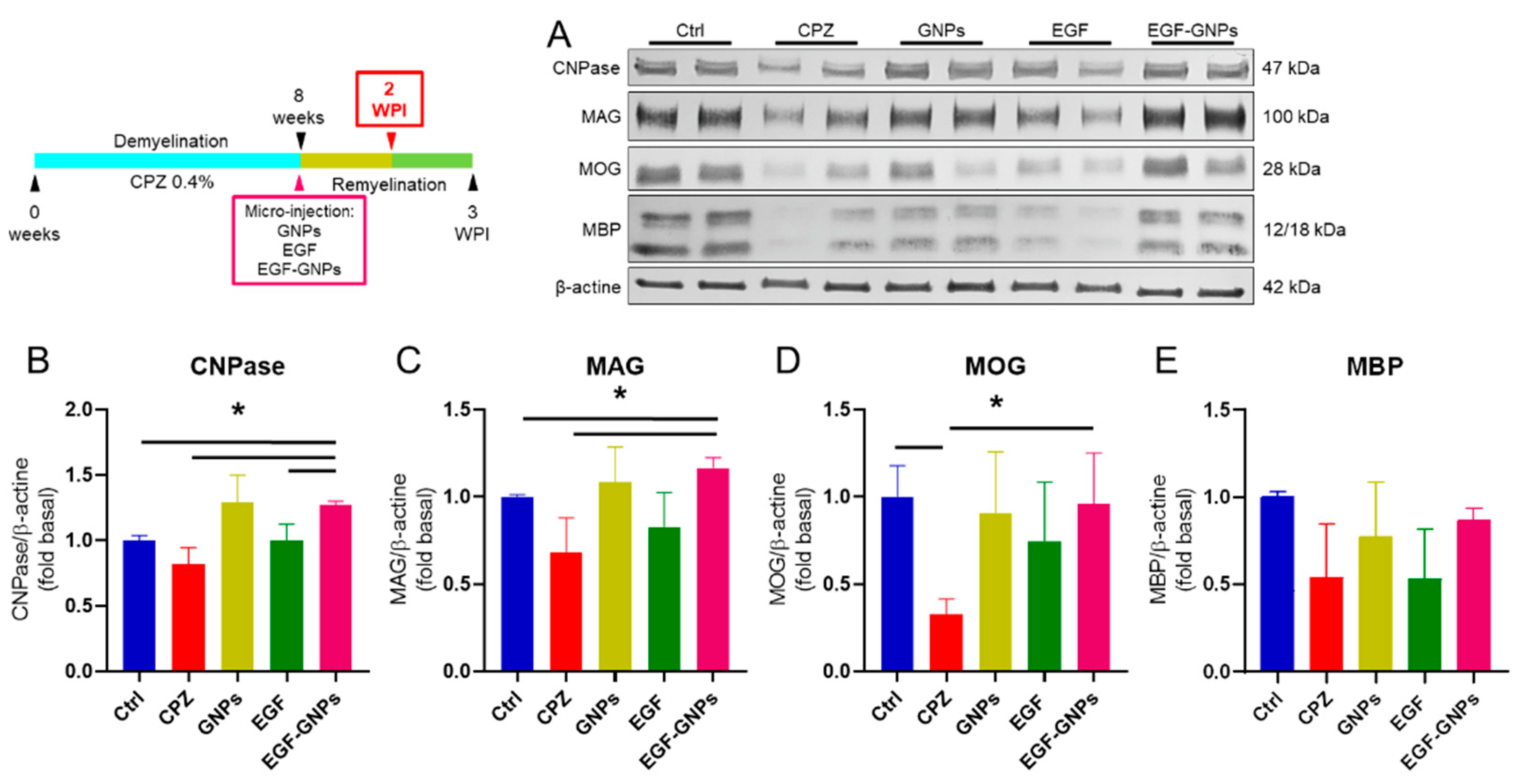 Life 12 00333 g006 550