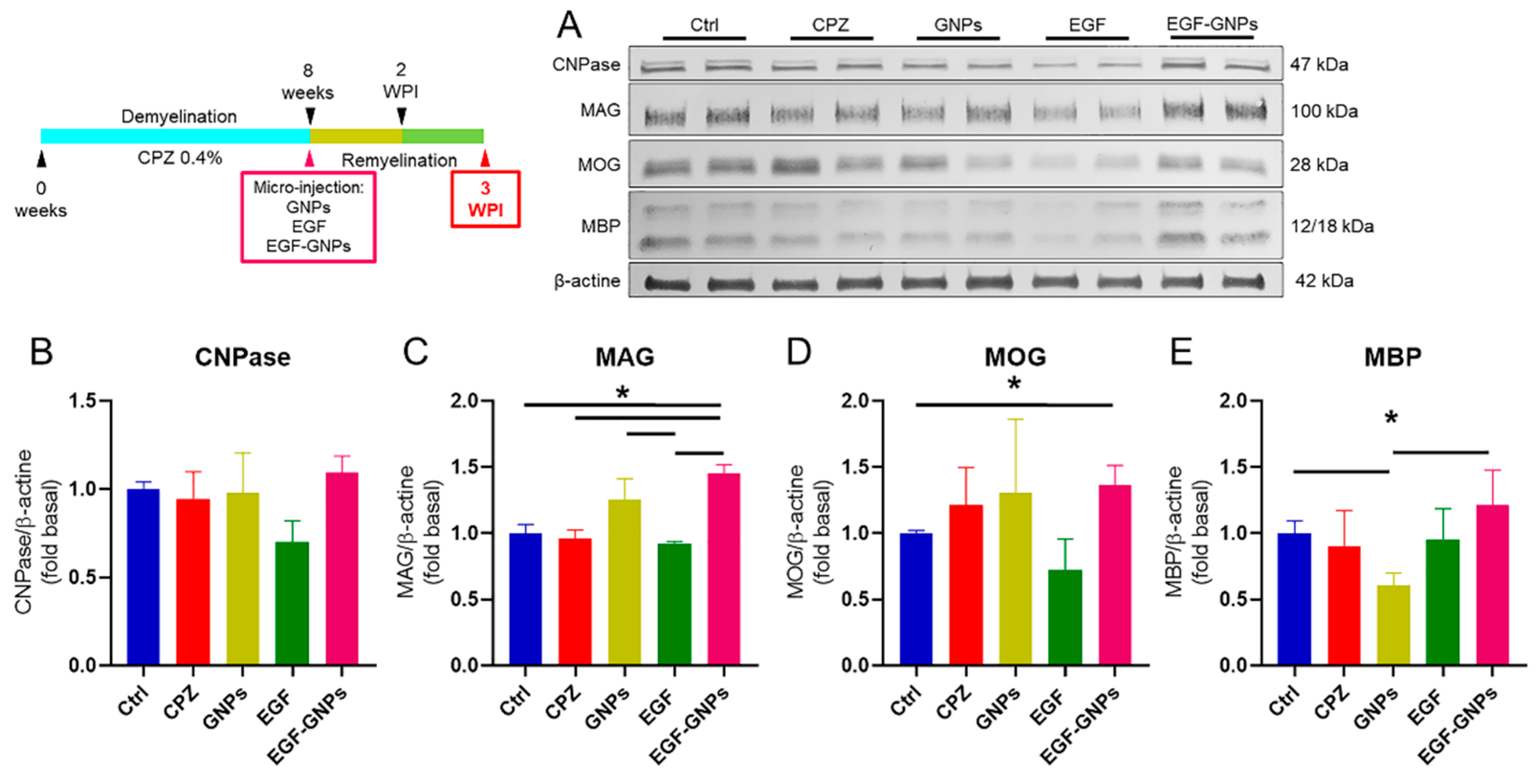 Life 12 00333 g007 550