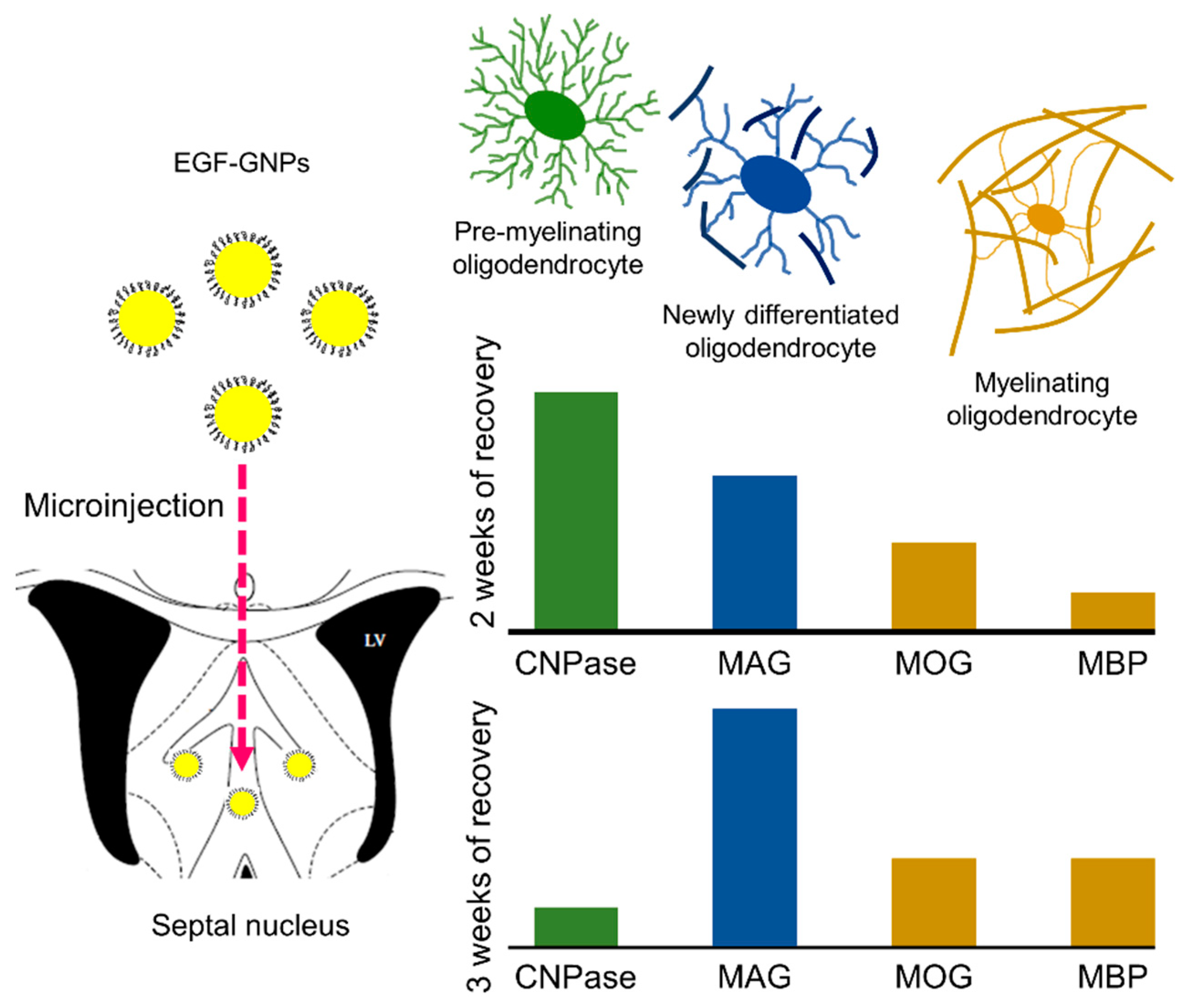 Life 12 00333 g008 550